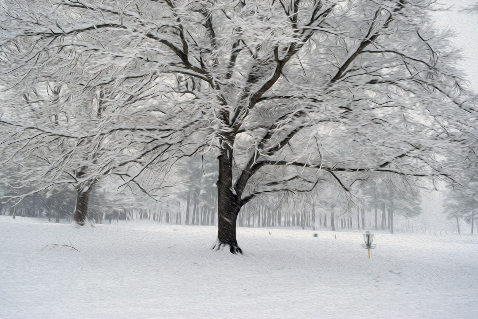Nikon D3300 sample photo. Winter, snow, cold photography