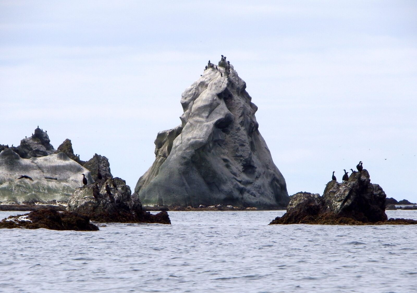 Fujifilm FinePix S1 sample photo. Bird colonies, rocks, islands photography