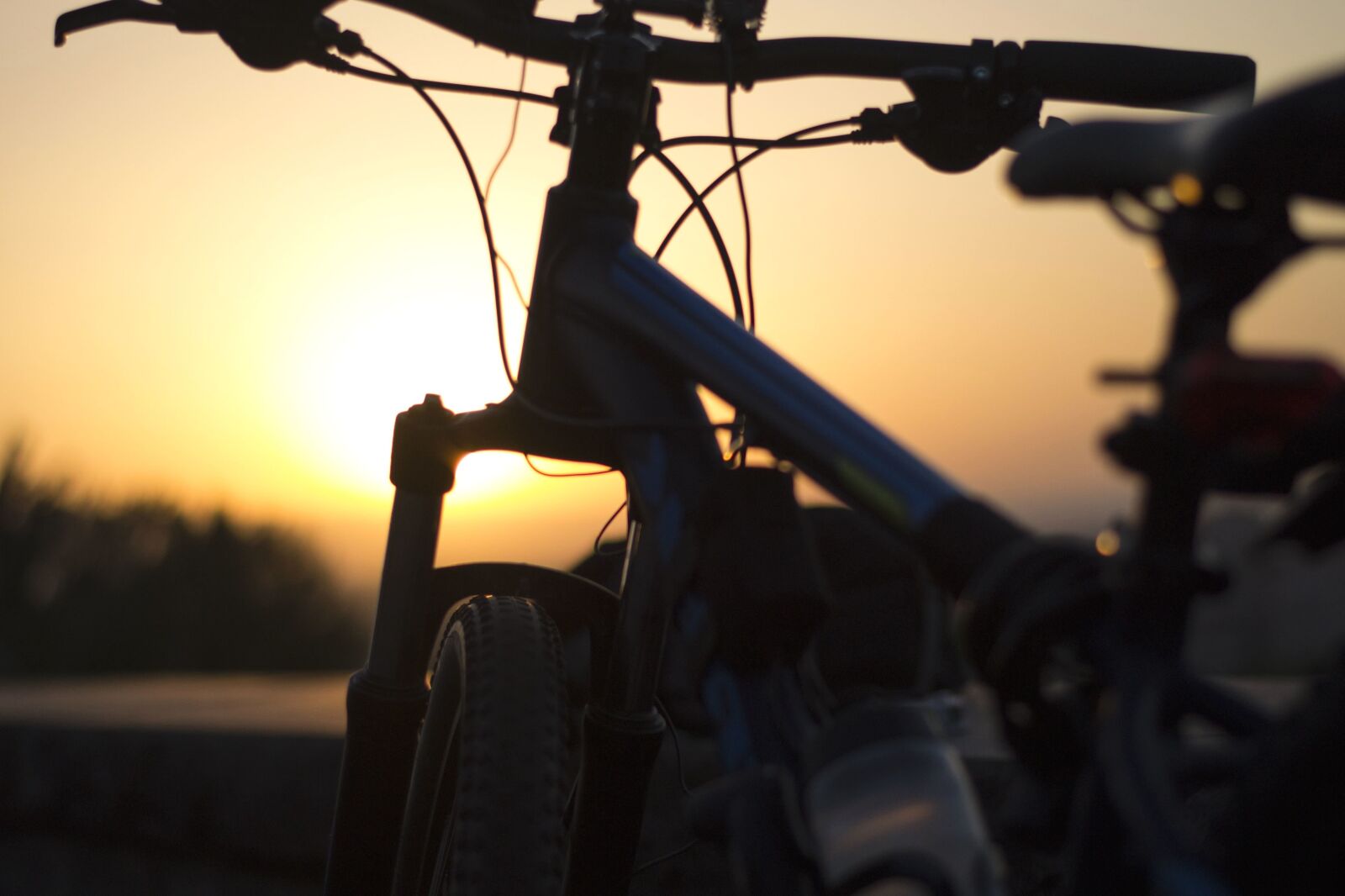 Nikon D3100 sample photo. Sunset, bicycle, vehicle, metal photography