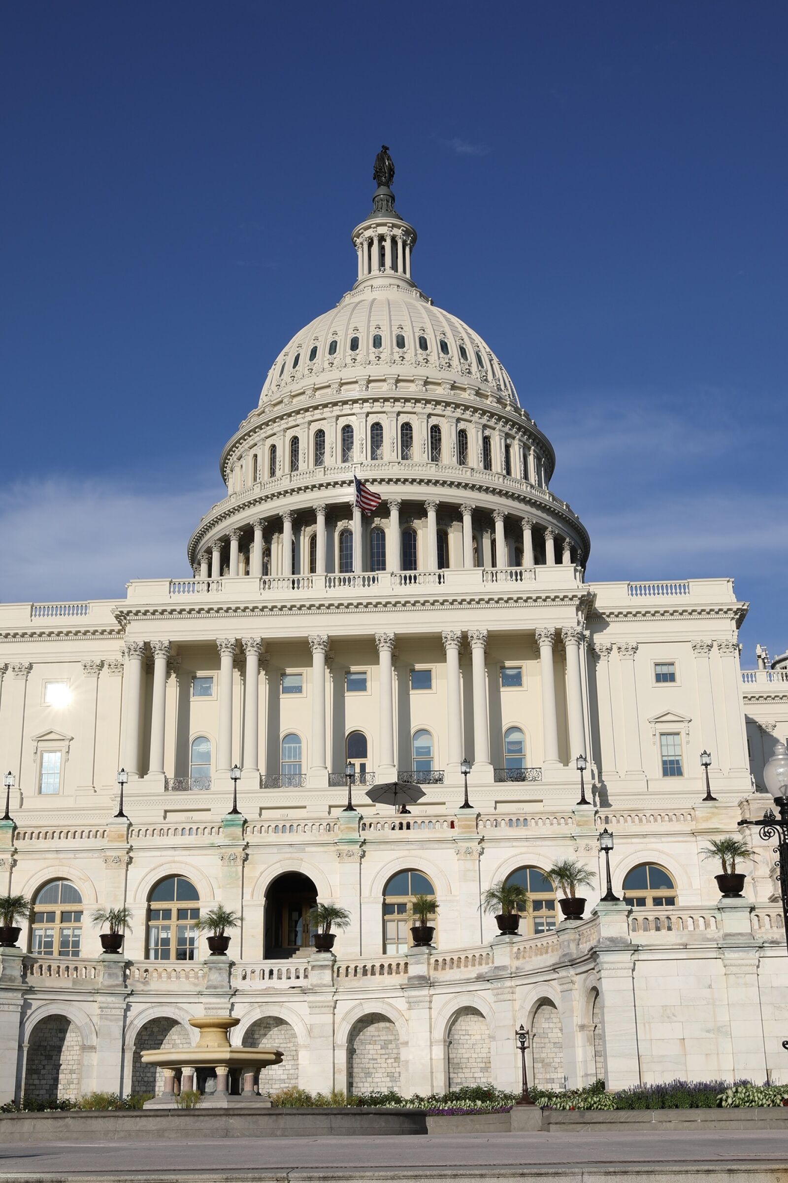 Canon EOS 5D Mark IV sample photo. Capital hill, dc, white photography