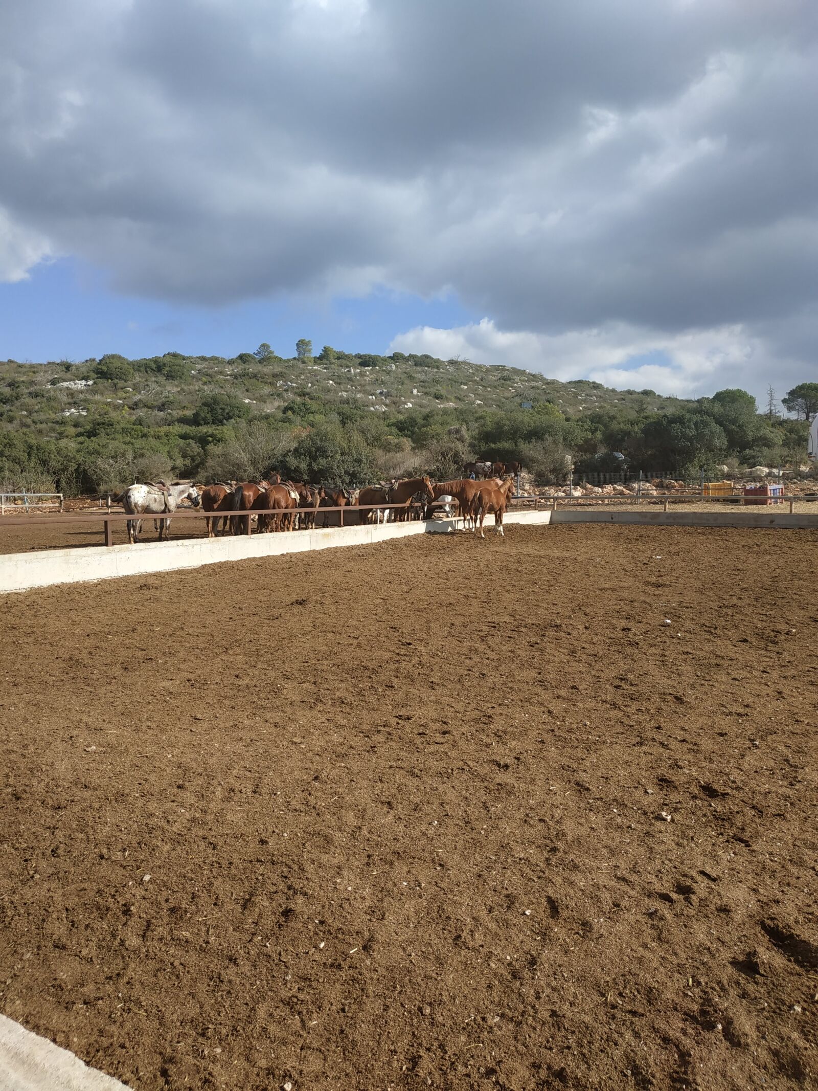 Xiaomi Redmi Note 5 sample photo. Horses, farm, hiking photography