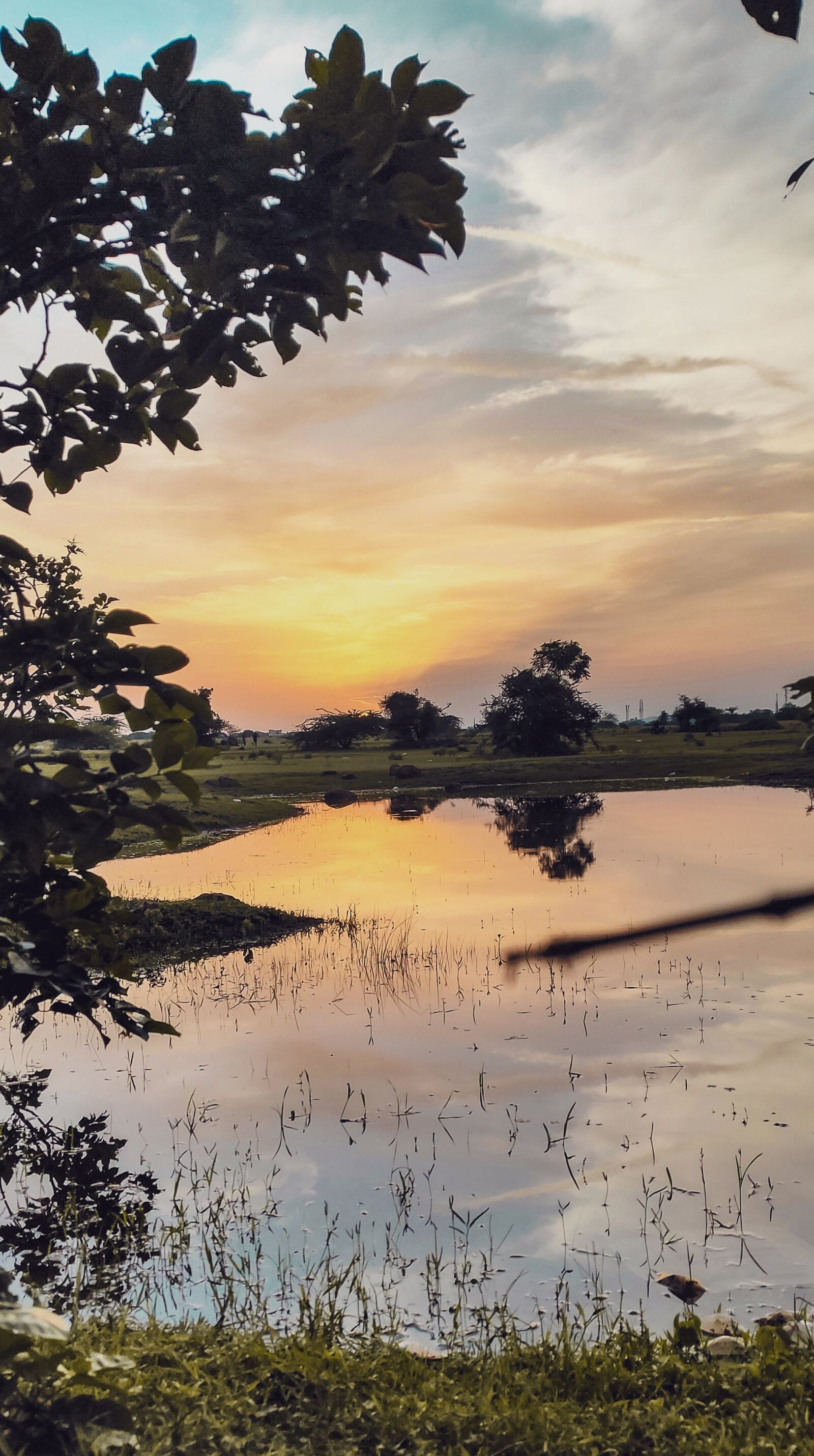 Realme XT sample photo. Golden, sunset, nature photography