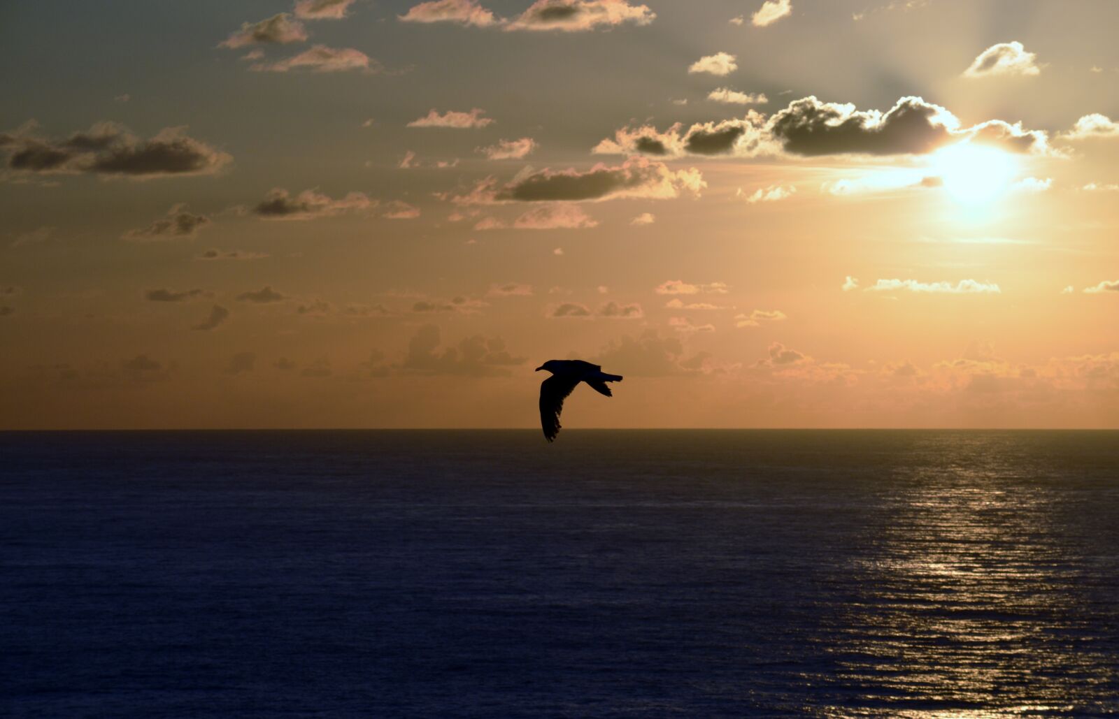 Nikon D5100 sample photo. Galicia, nature, sunset photography