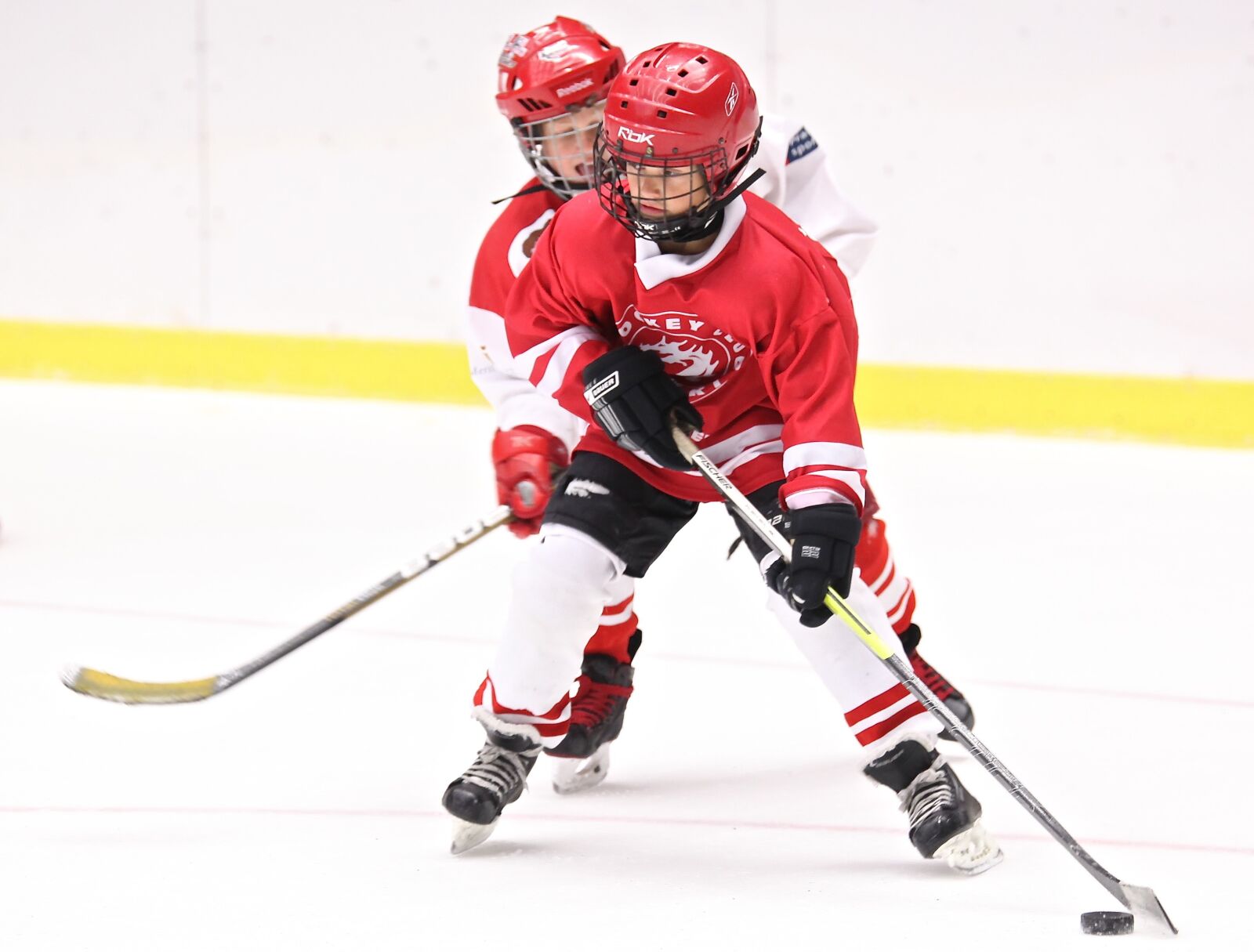 Canon EOS 5D Mark II sample photo. Hockey, sport, hockey stick photography