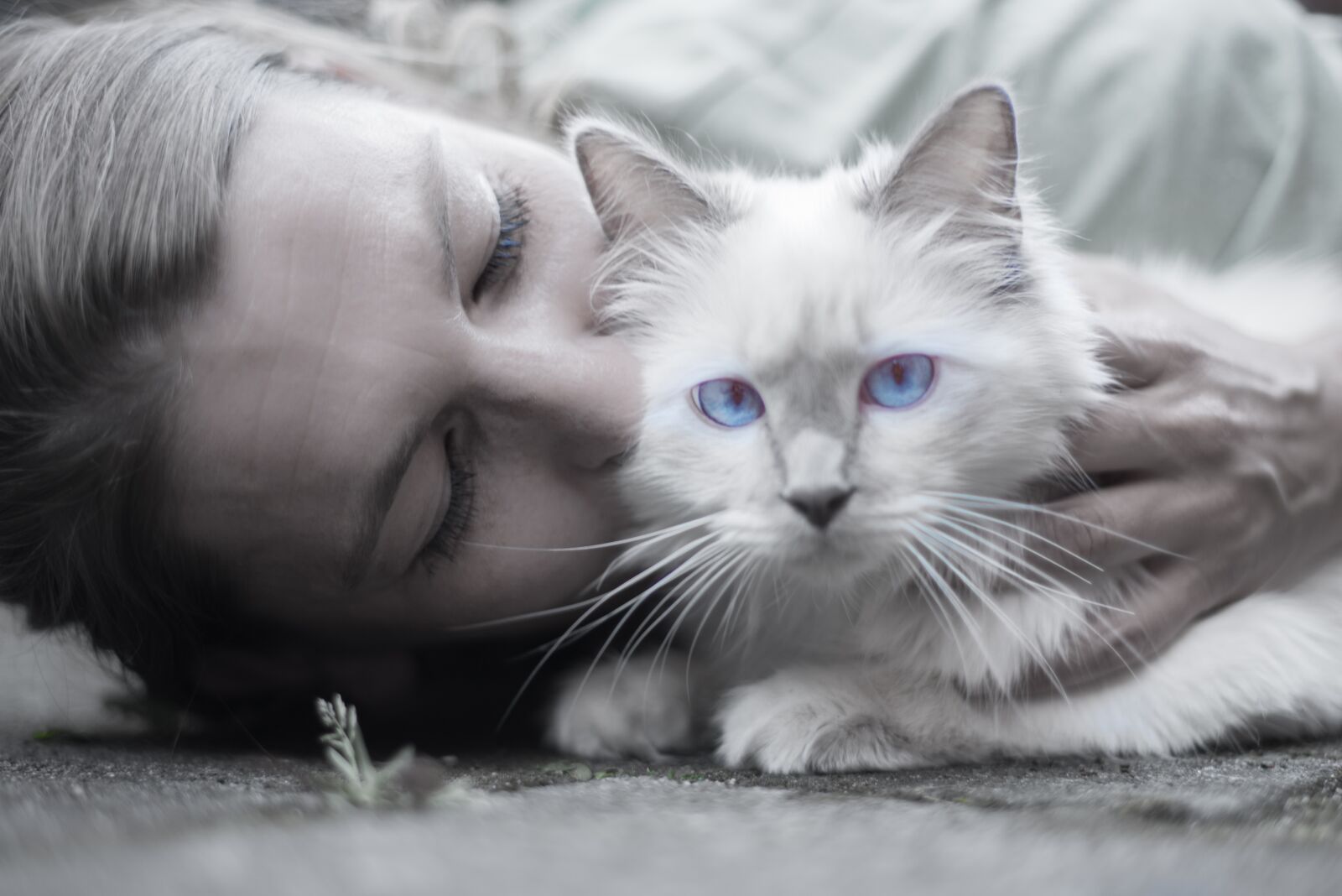 Nikon D600 sample photo. Cat, woman, blue photography