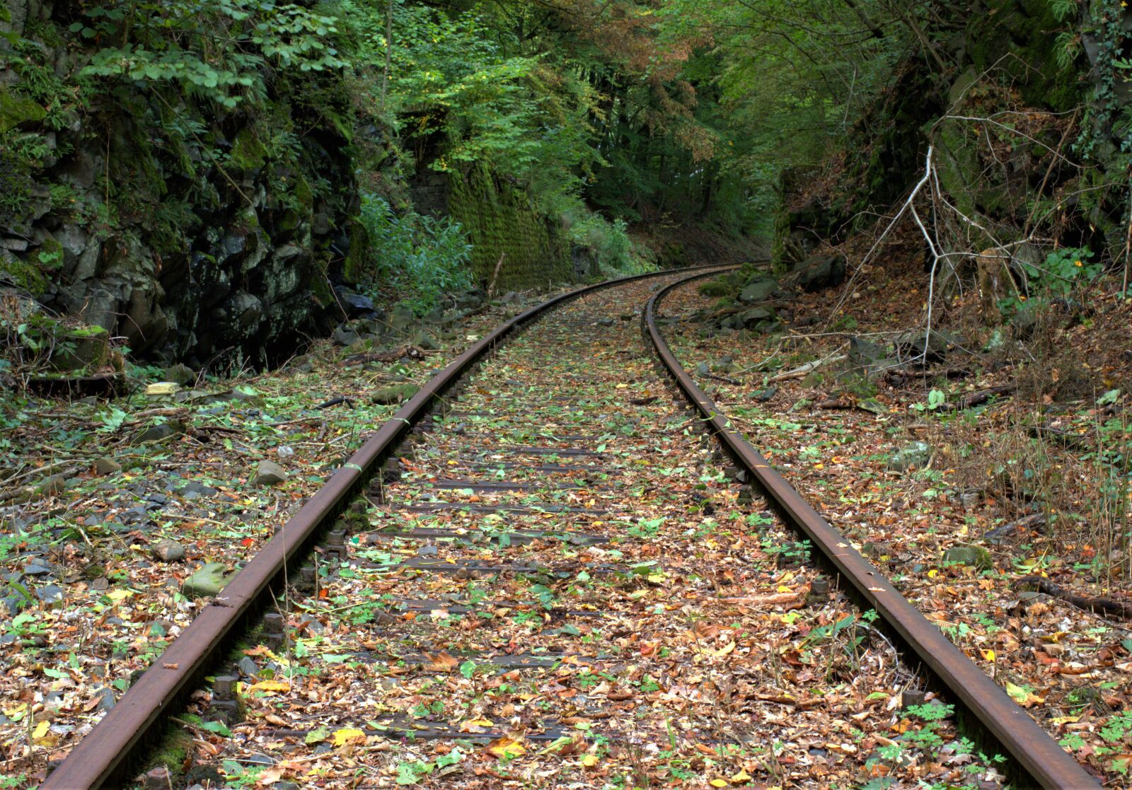 Canon EF 35mm F2 IS USM sample photo. Railway through the forest photography