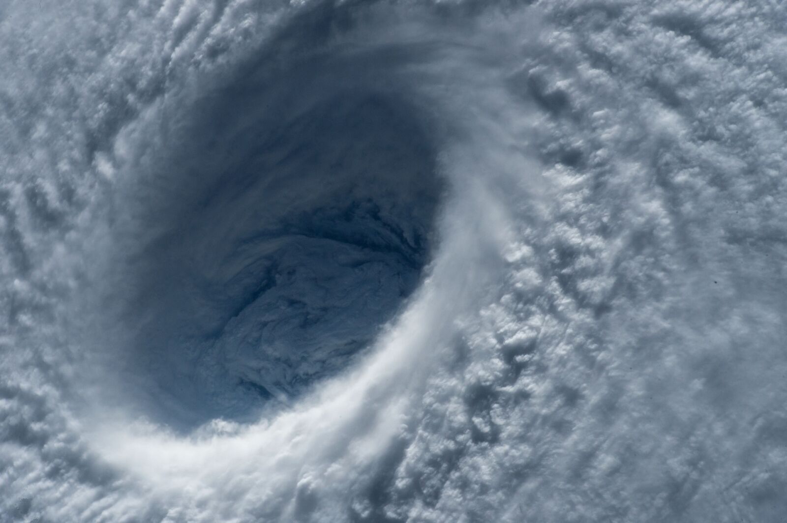 Nikon D4 sample photo. Typhoon, eye, close up photography