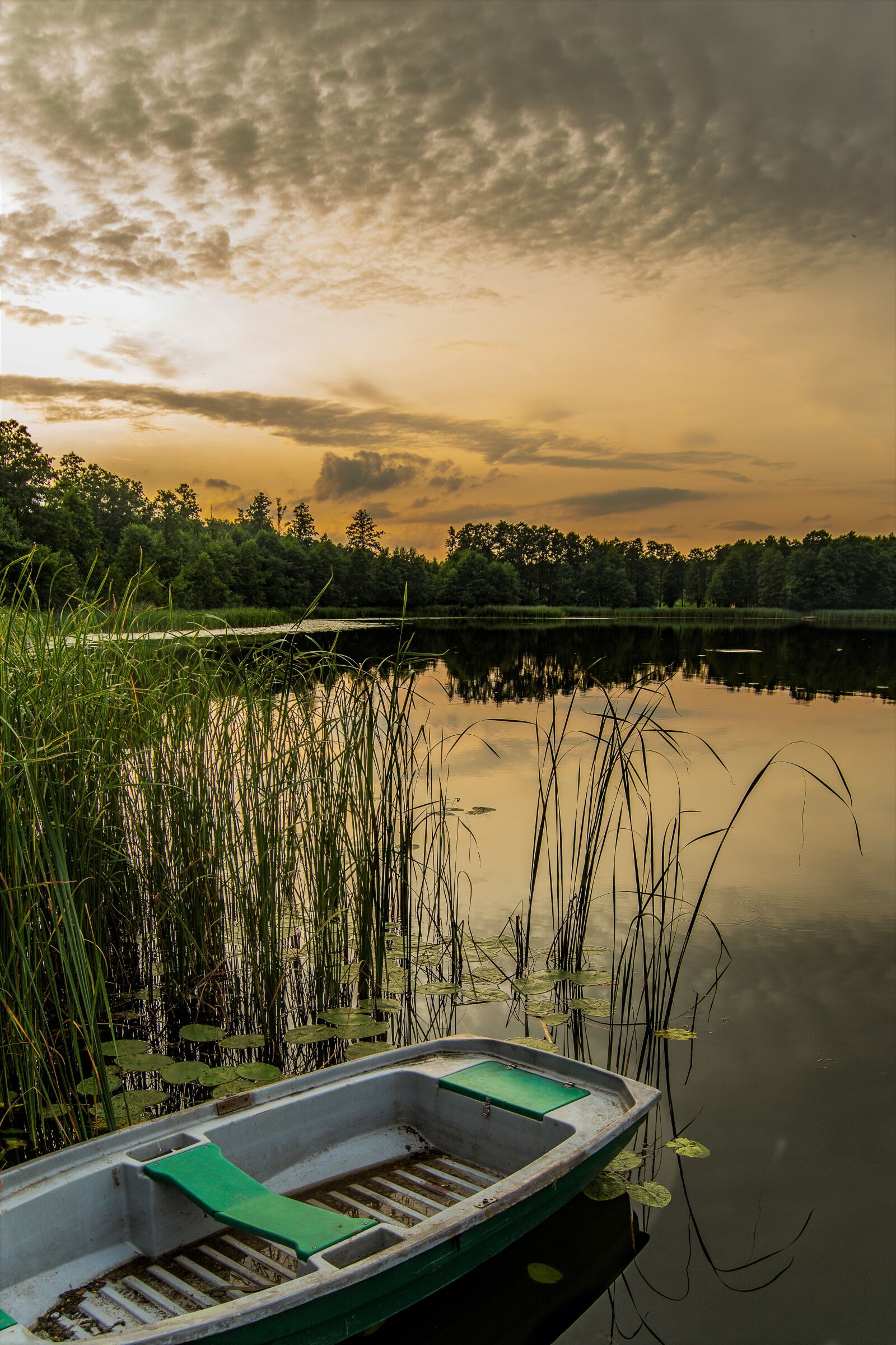 Nikon D7100 sample photo. Nature, lake, sunset photography