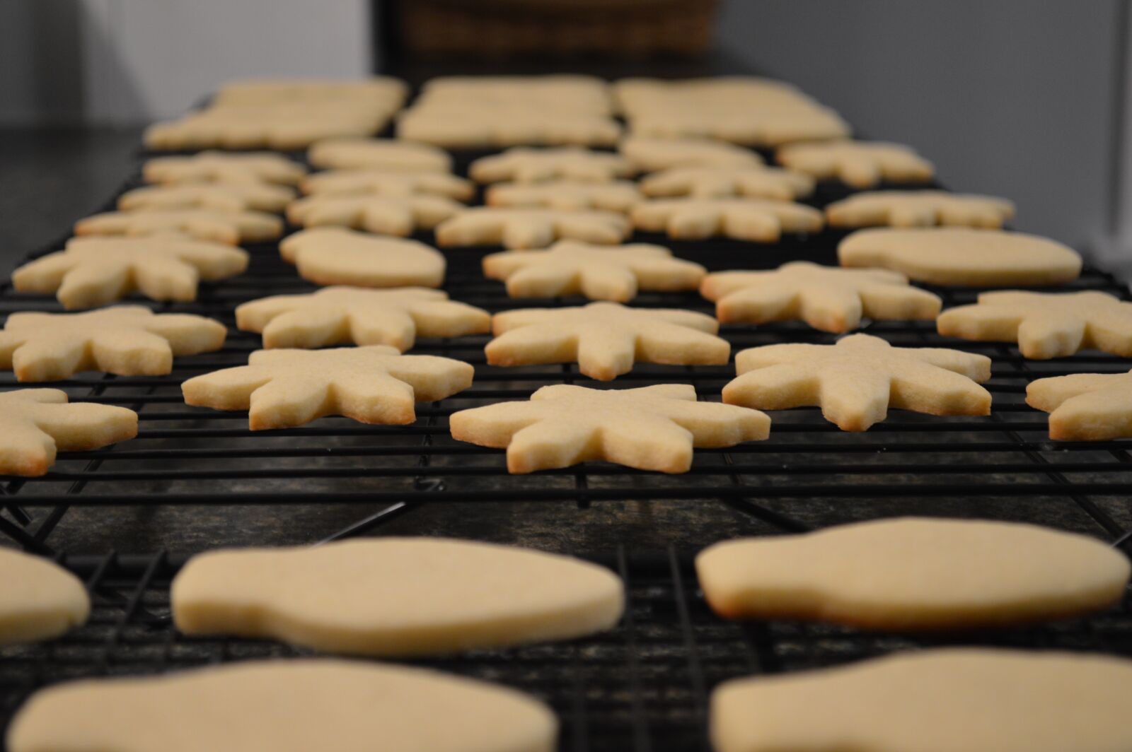 Nikon D3200 sample photo. Sugar cookies, easter lunch photography