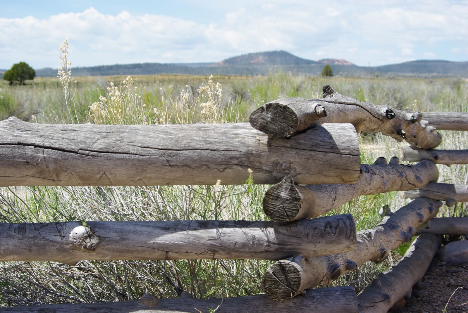 Pentax K200D sample photo. Wood, wooden fence, fence photography