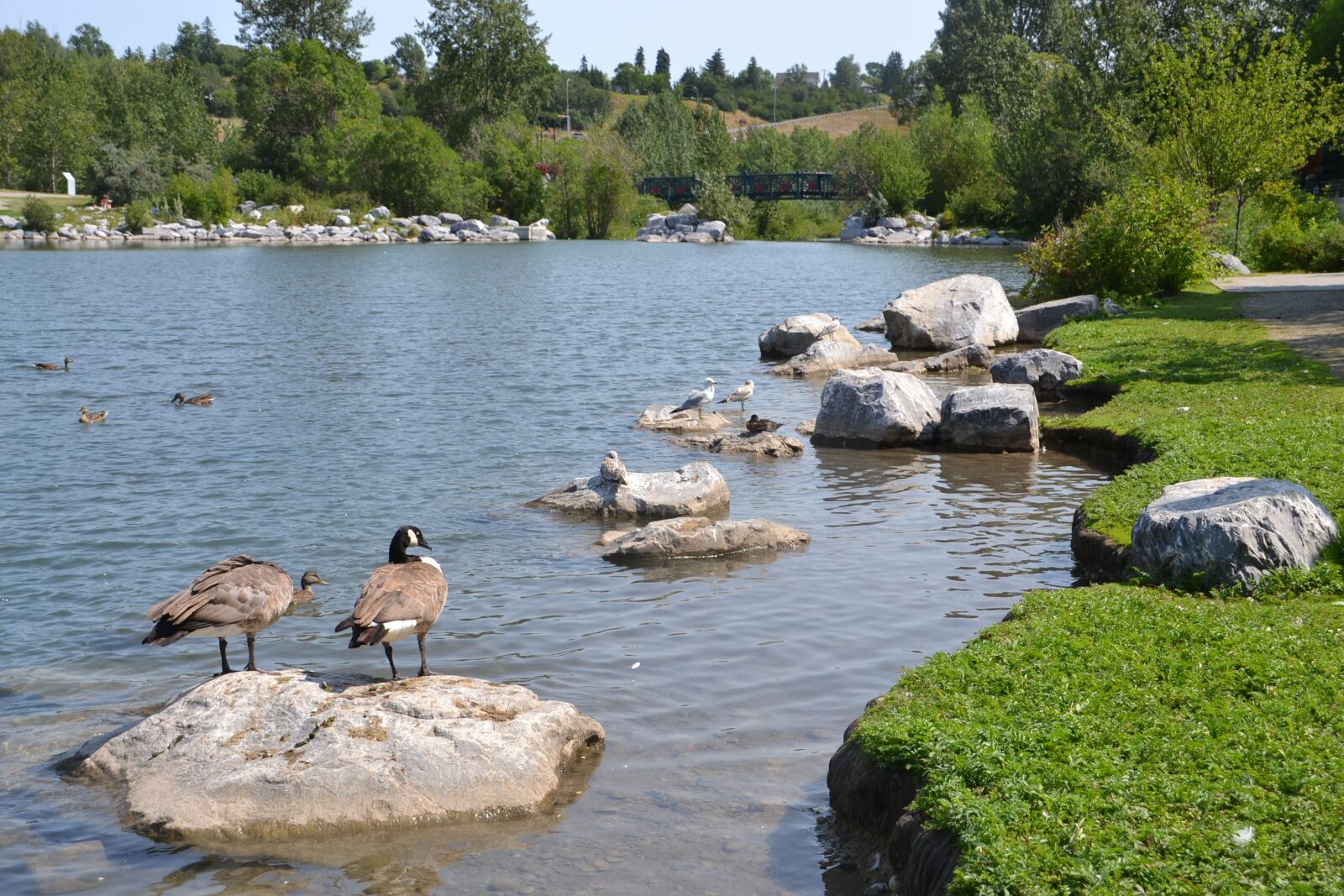 Nikon D3100 sample photo. Park, water, scenic photography