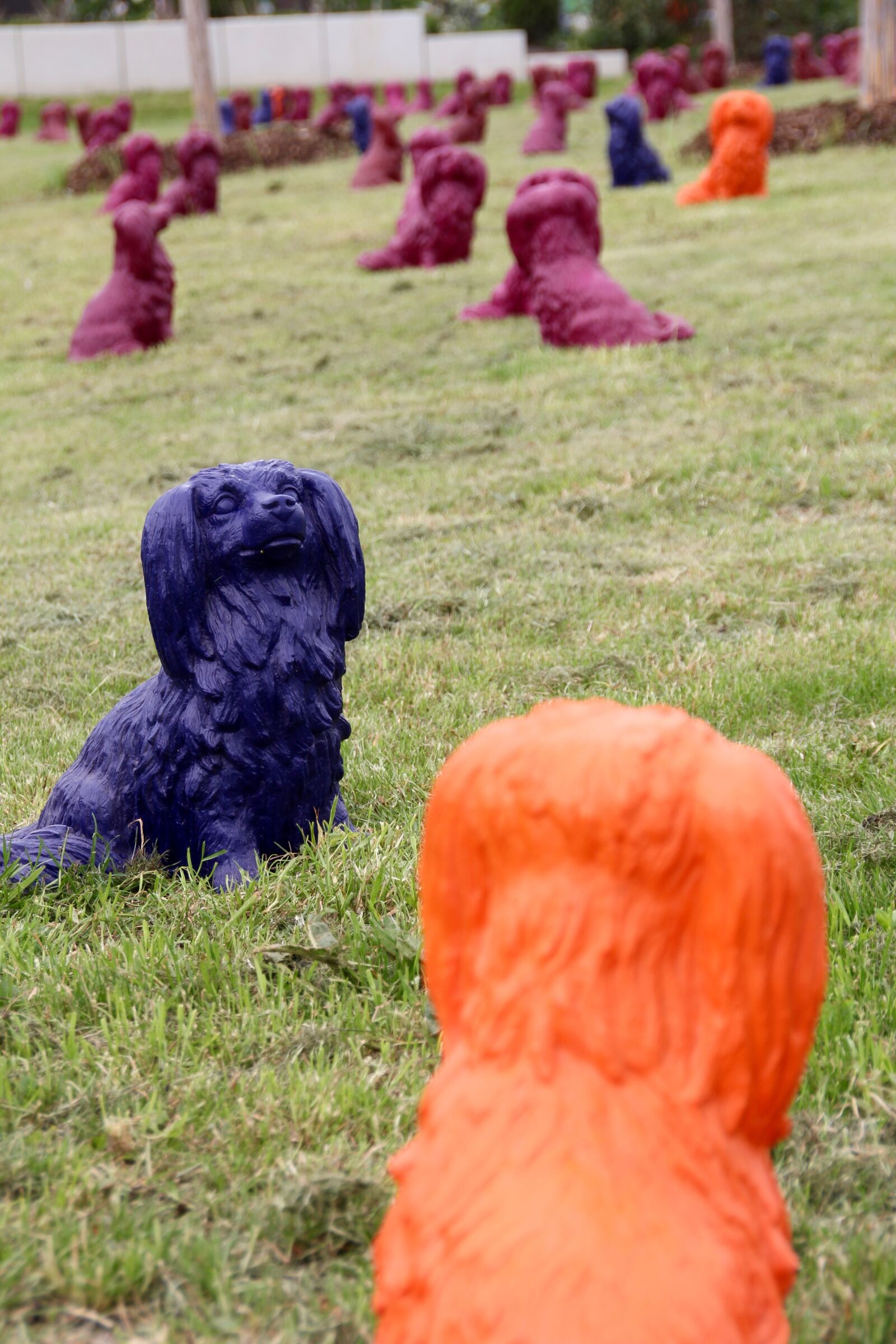 Canon EOS 60D sample photo. Dog park, art, decoration photography