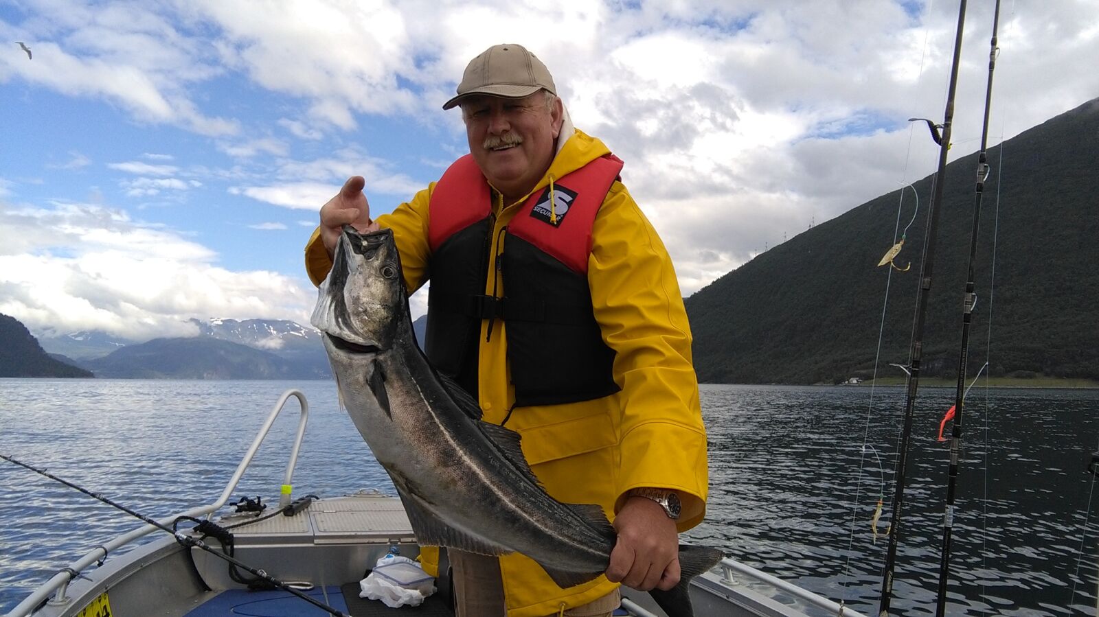 HUAWEI Y6 sample photo. Fish, norway fjord, north photography