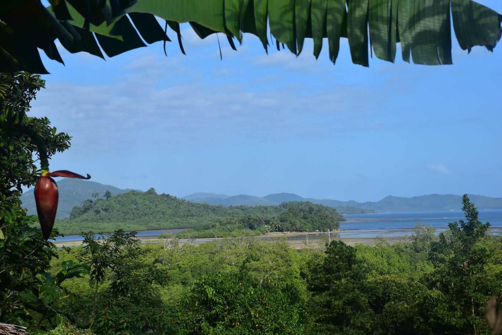 Nikon D5500 sample photo. Philippines, jungle bar, tropical photography