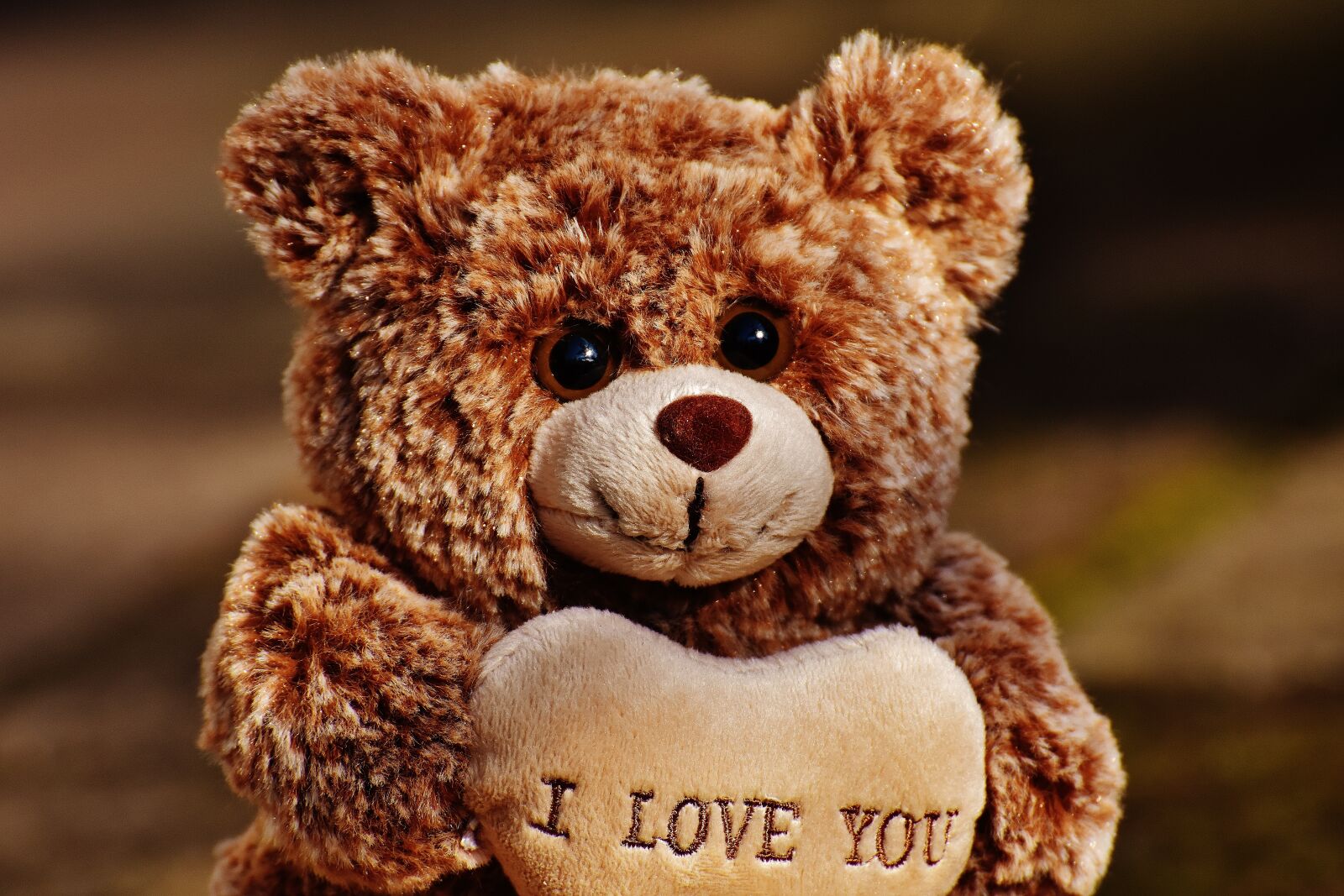 Nikon D7200 sample photo. Love, teddy, bears photography