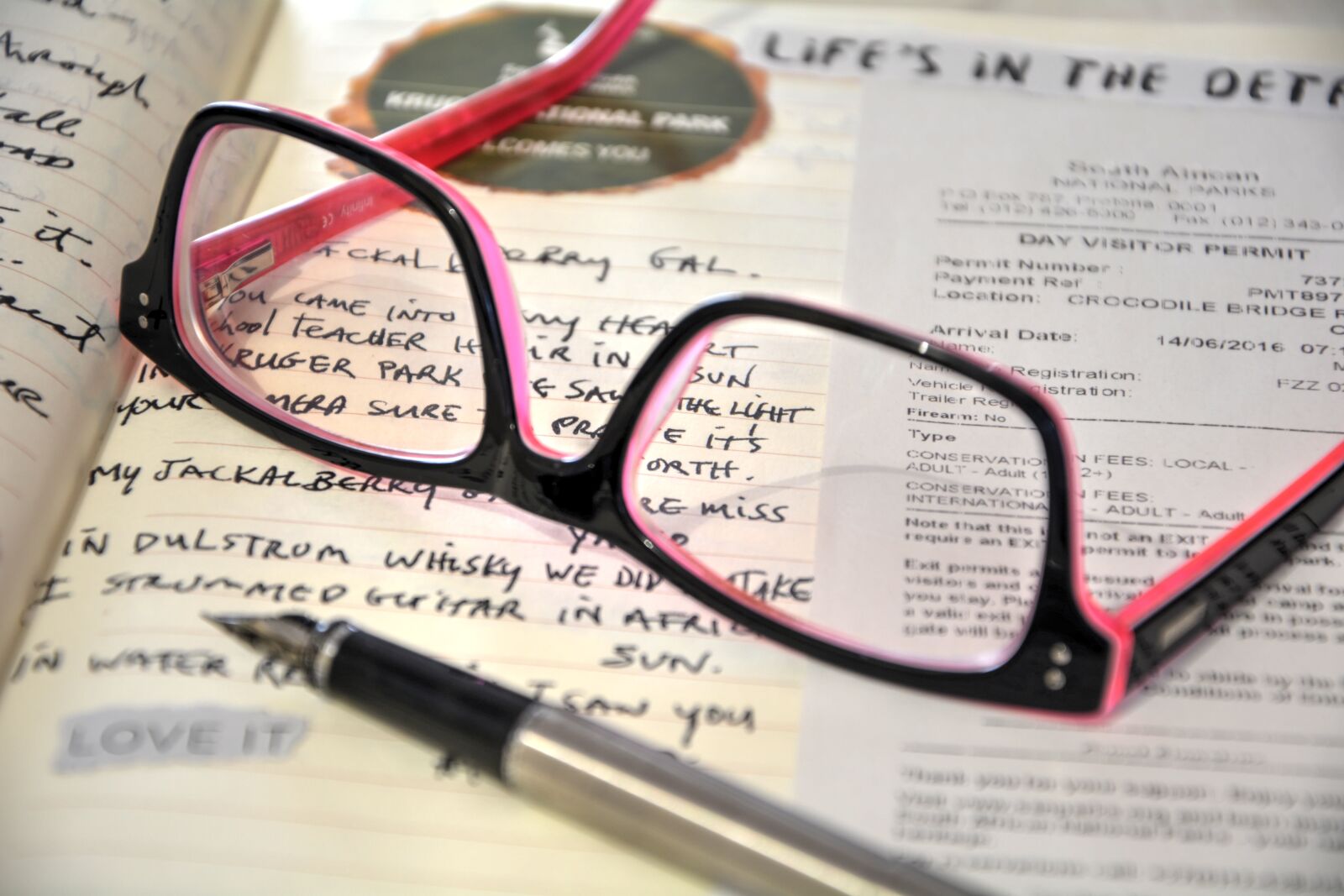 Nikon D5200 sample photo. Visual diary, writing down photography