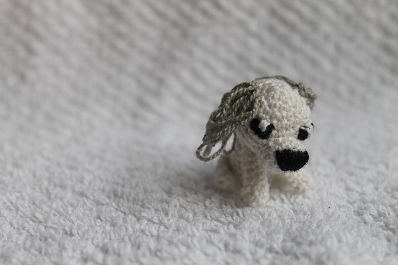 Canon EOS 1100D (EOS Rebel T3 / EOS Kiss X50) sample photo. Crochet, toy, handmade photography