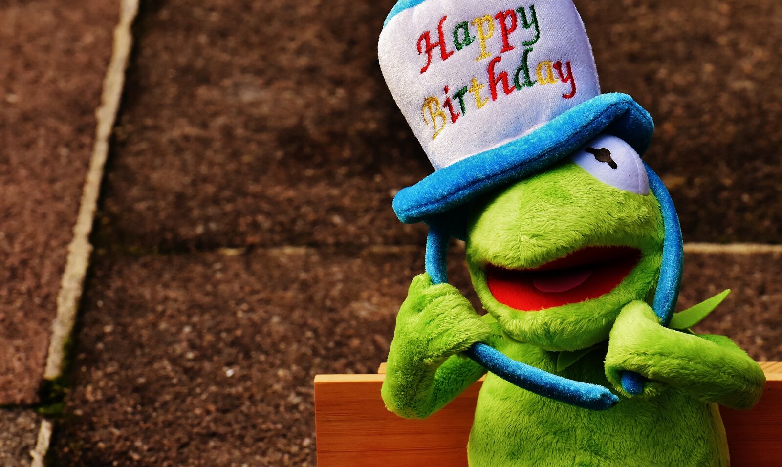 Nikon D7200 sample photo. Birthday, congratulations, kermit photography