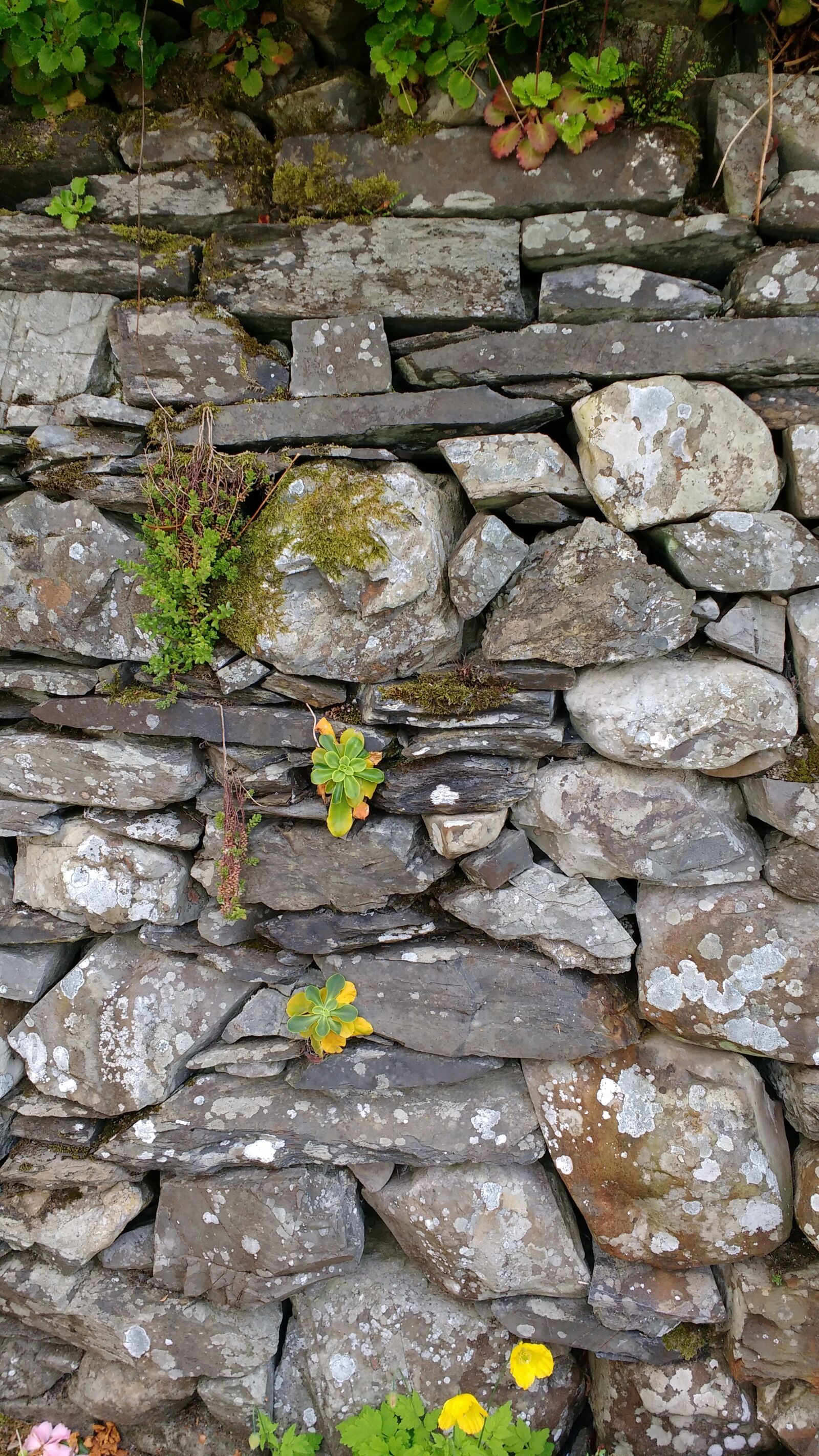 Motorola MotoG3 sample photo. Wall, stone, dry stone photography