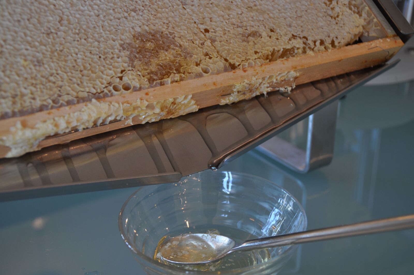 Nikon D5000 sample photo. Honey, breakfast, buffet photography