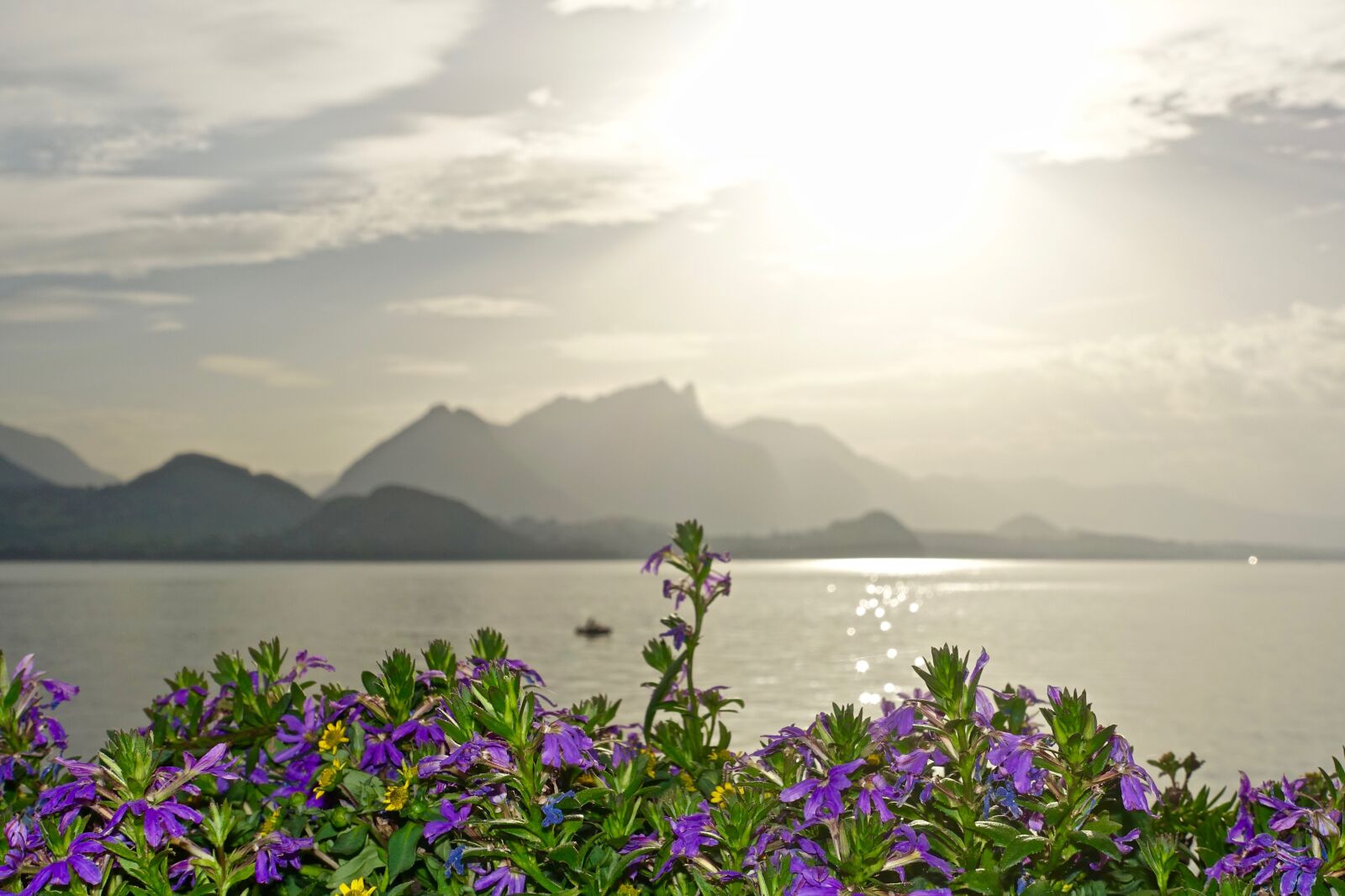 Sony Cyber-shot DSC-RX100 III sample photo. Flowers, mountains, sunlight photography