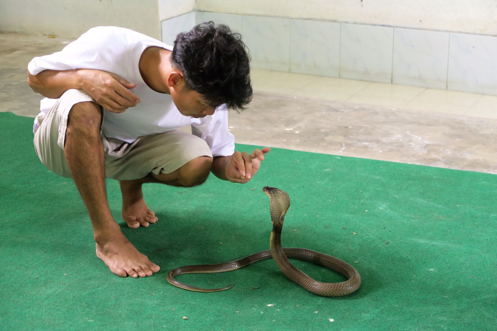 Canon PowerShot G7 X sample photo. Snake, trainer, cobra photography