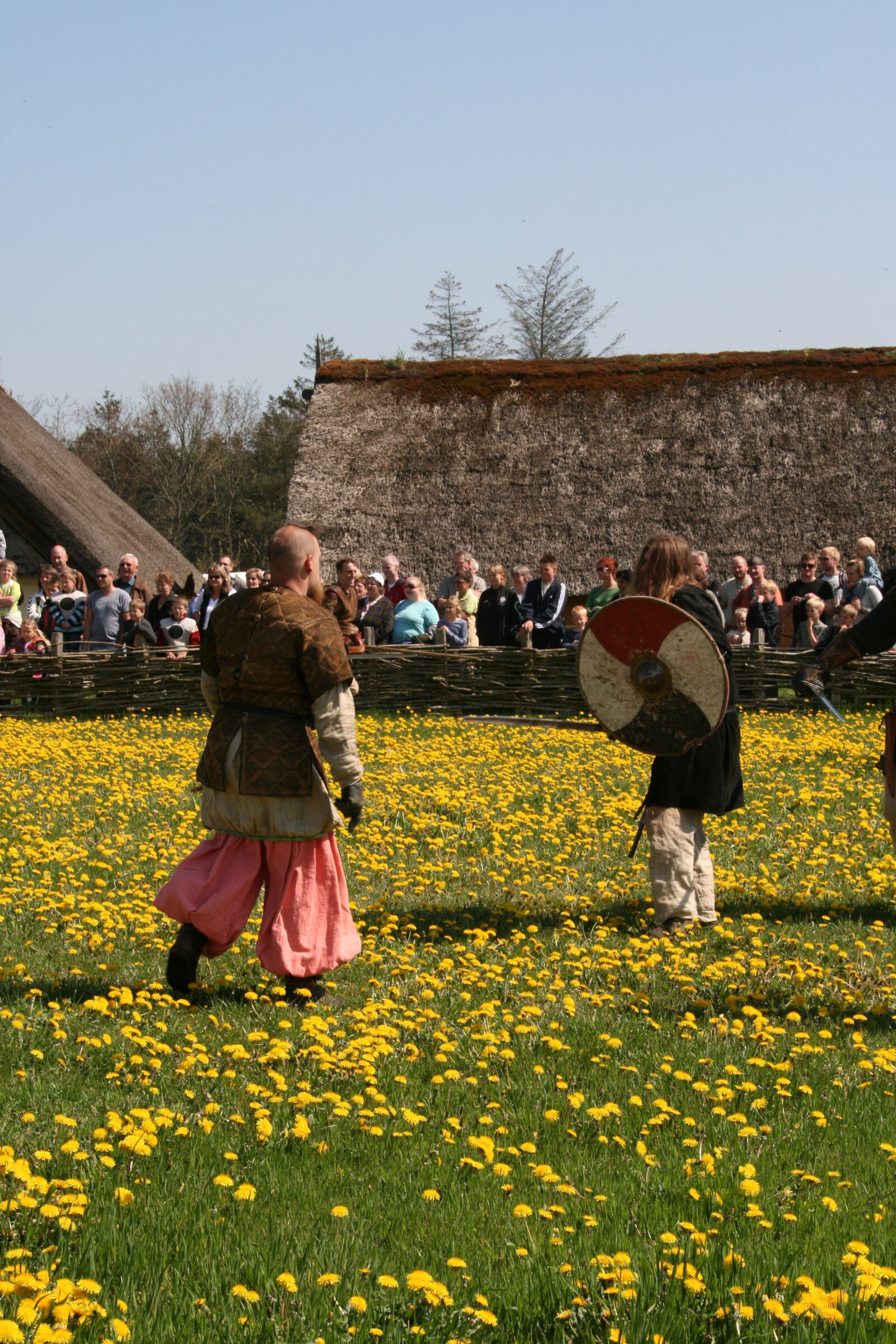 Sigma 18-200mm f/3.5-6.3 DC OS sample photo. Vikings photography