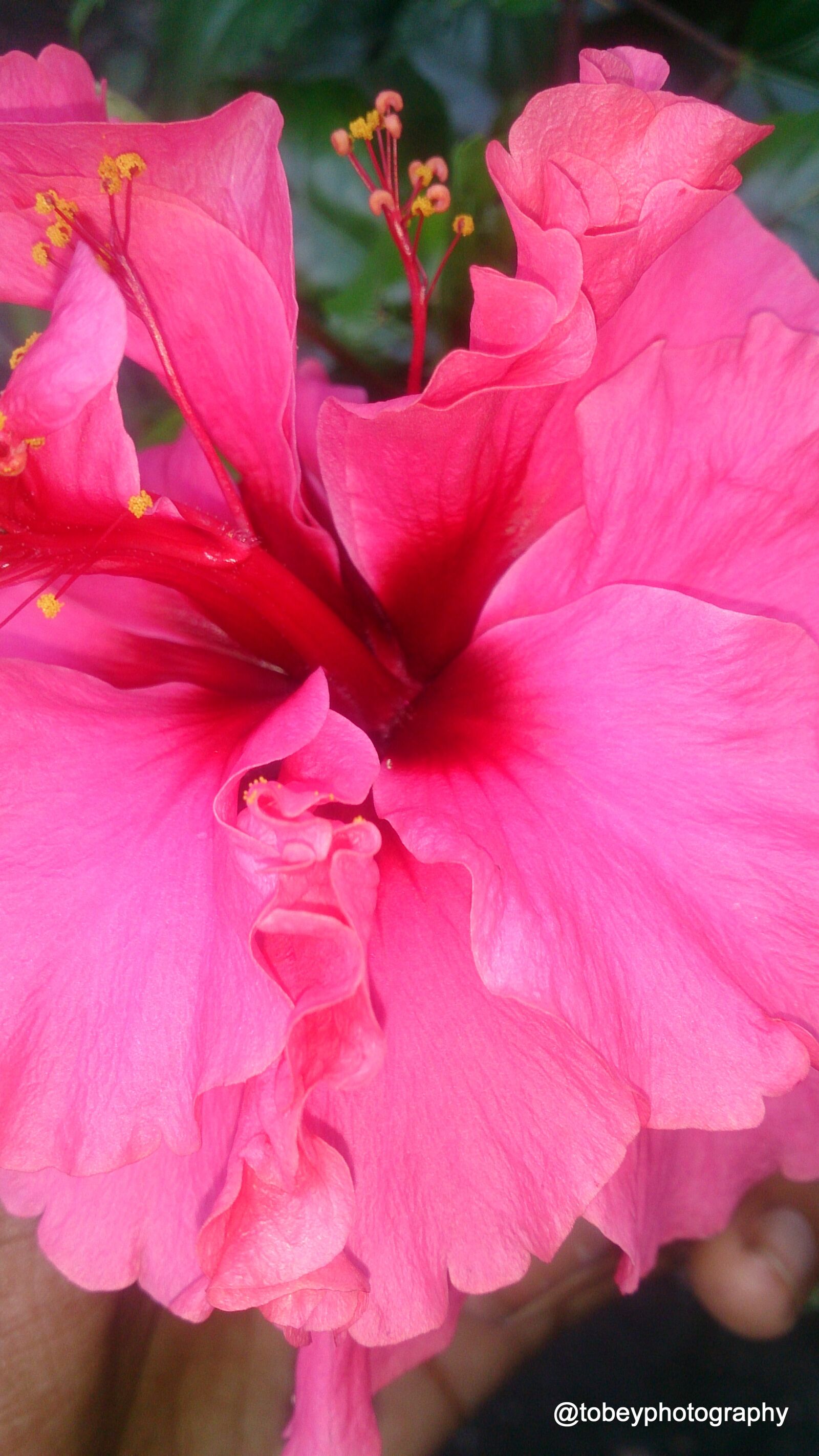 Sony Xperia Z sample photo