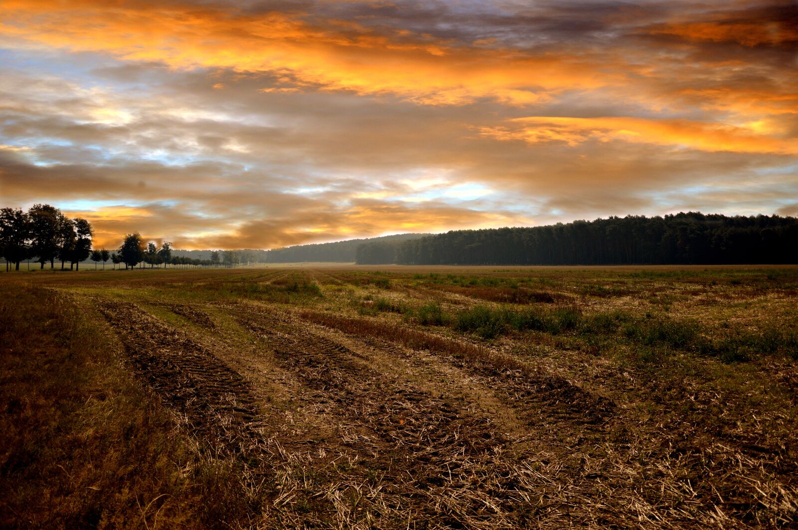 Nikon D3200 sample photo. Landscape, field, nature photography