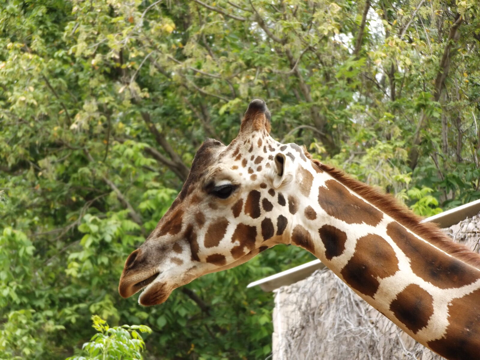 Fujifilm FinePix S8600 sample photo