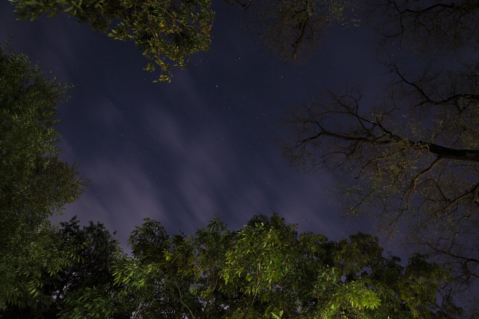Canon EF 24-70mm F2.8L II USM sample photo. The night sky, the photography
