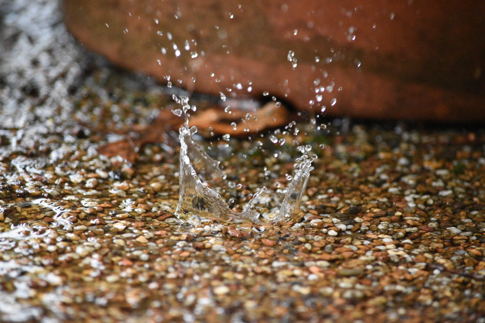 Nikon D5600 sample photo. Splash, raindrop, rain photography