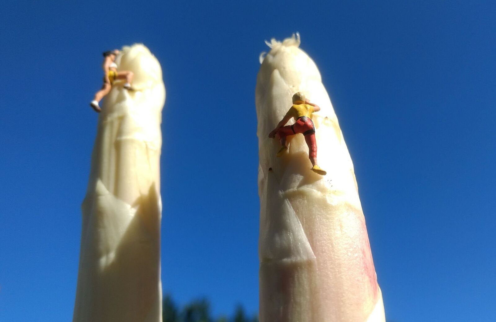 Motorola Moto G (4) sample photo. Asparagus, climb, miniature figures photography