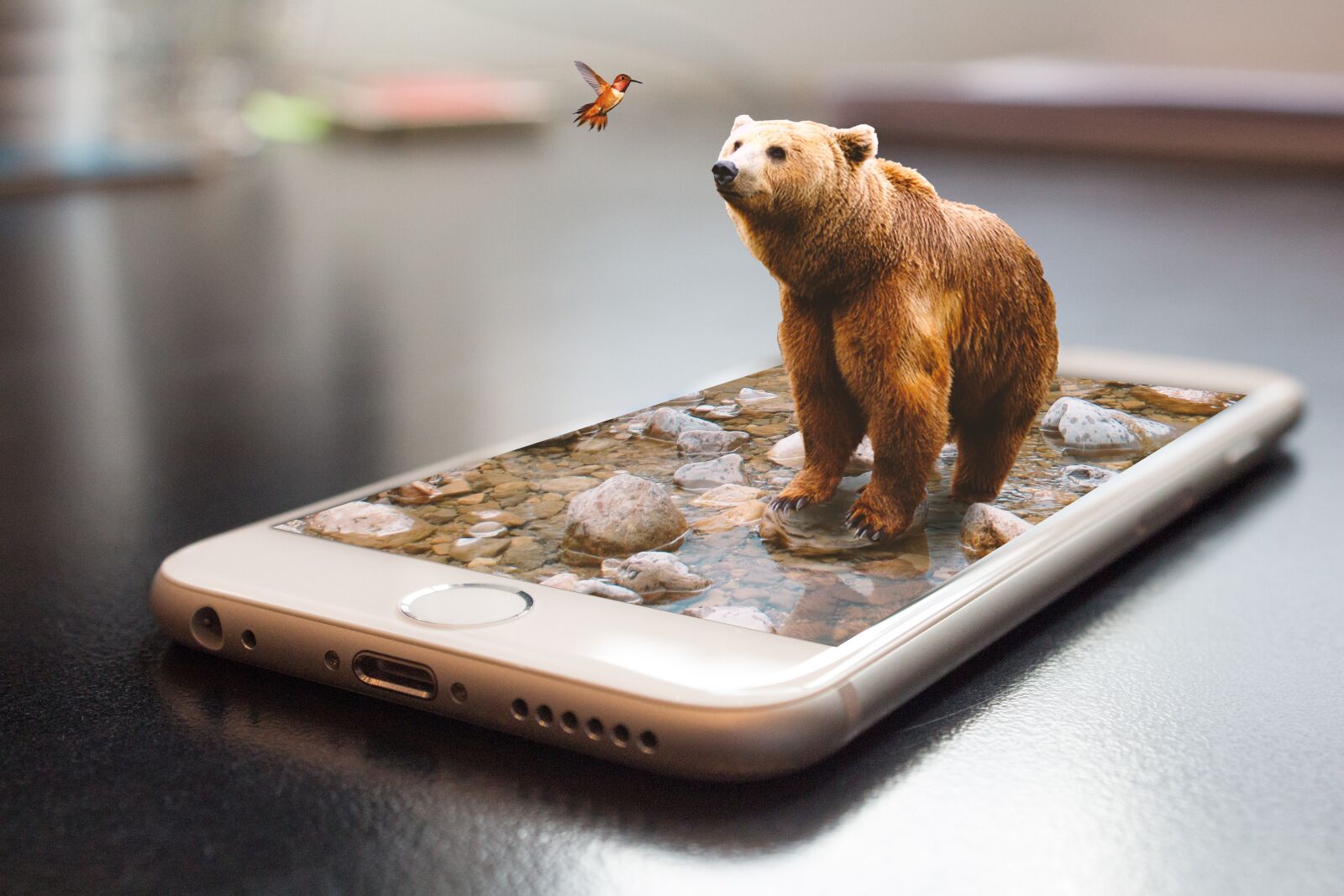 Canon EOS 650D (EOS Rebel T4i / EOS Kiss X6i) sample photo. Bear, cellular, phone photography