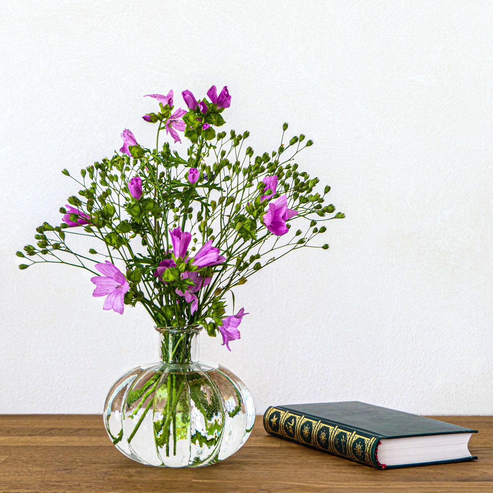 Panasonic Lumix DMC-FZ2500 (Lumix DMC-FZ2000) sample photo. Still life, bouquet, mallow photography