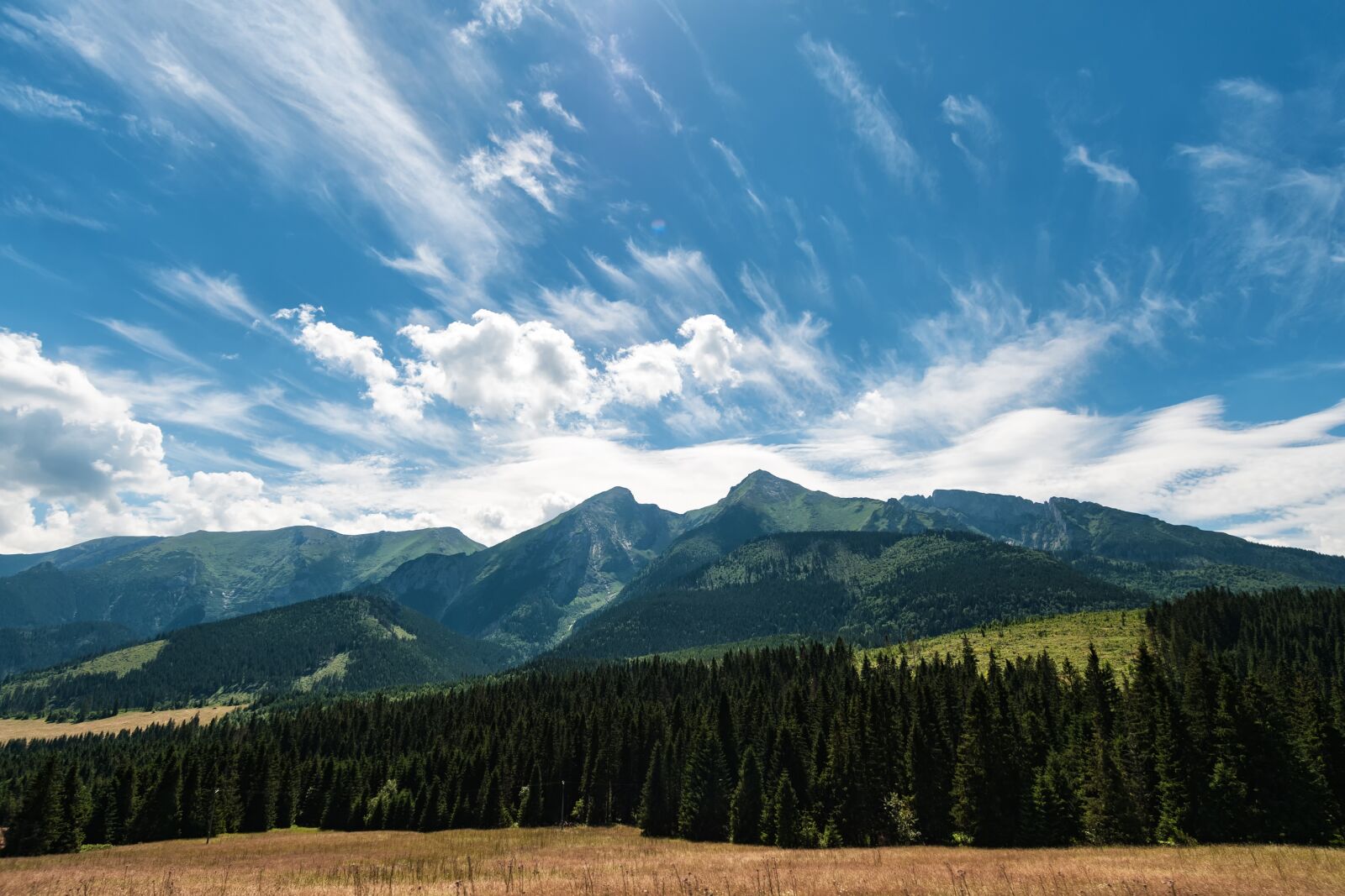 Nikon D300S sample photo. High, tatra, border photography