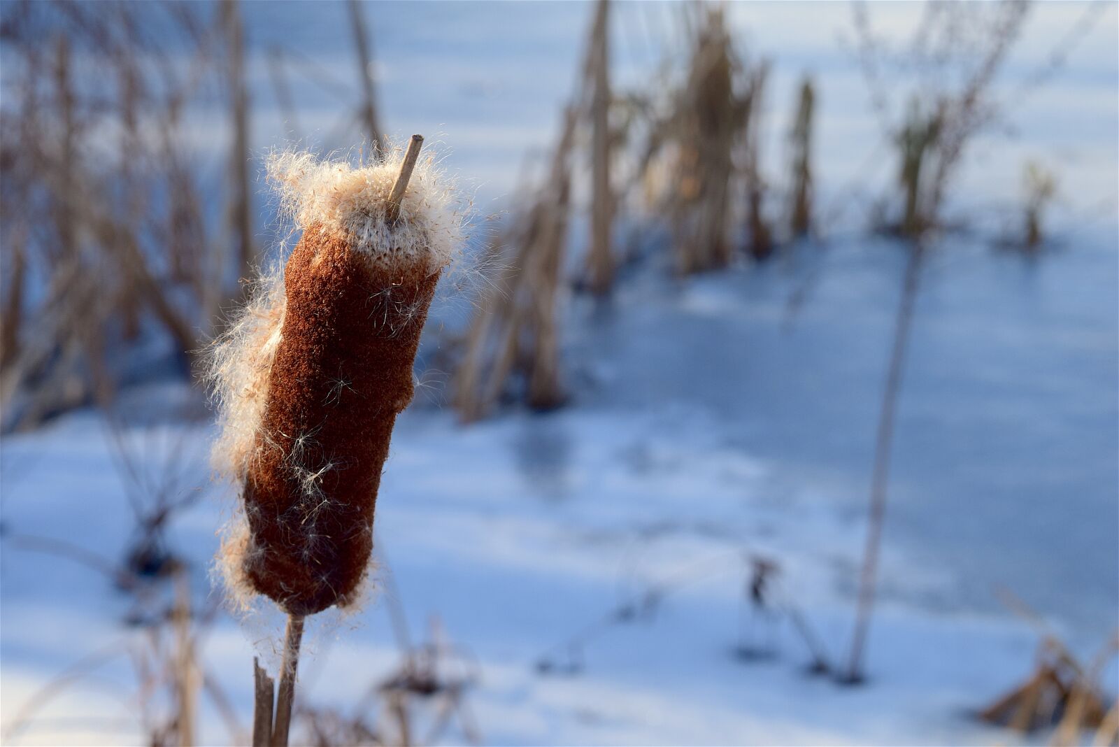 Nikon D3300 sample photo. Snow, ice, lake photography