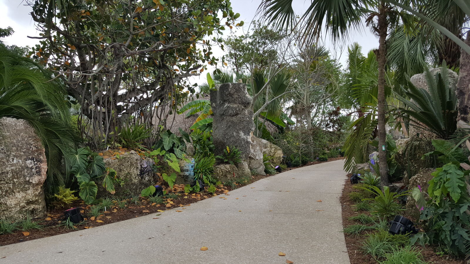 Samsung GALAXY S6 edge sample photo. Botanical, gardens photography
