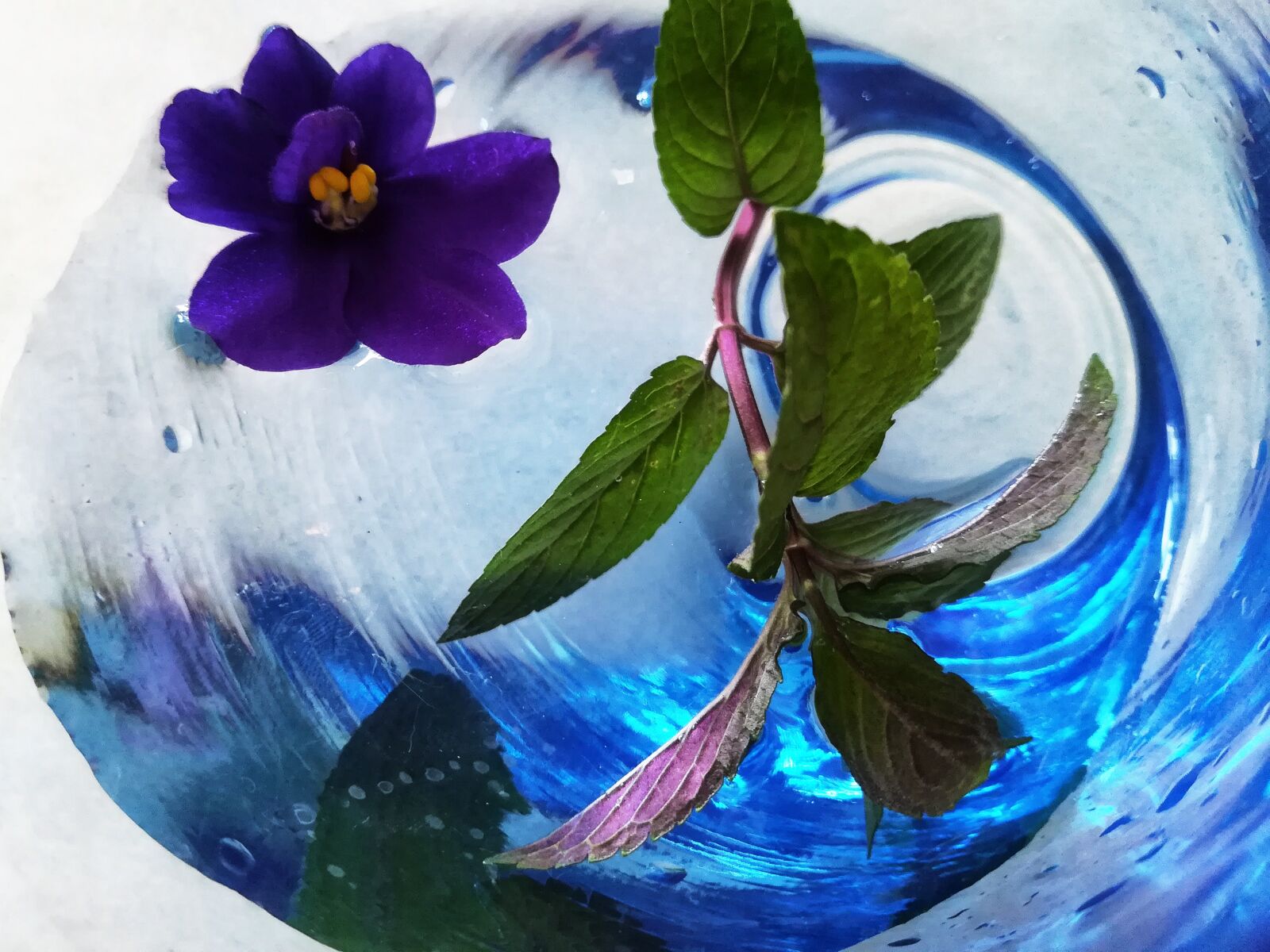 HUAWEI P10 lite sample photo. Abstract, flower, background photography