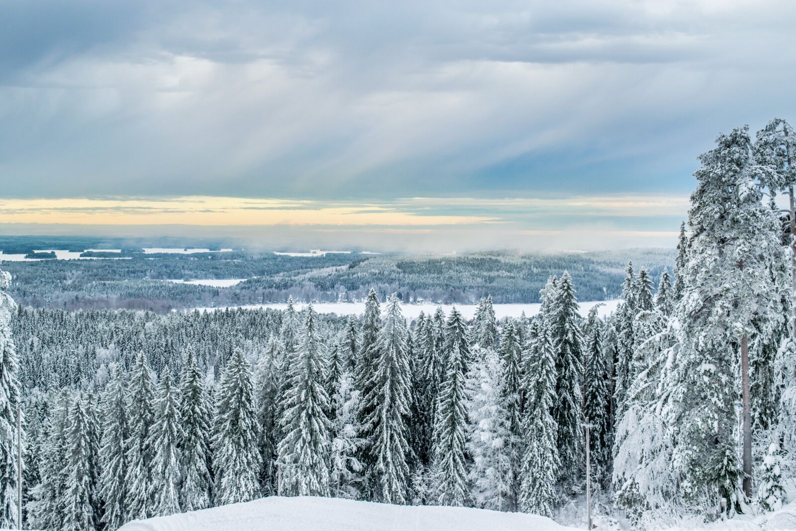 Nikon D5300 sample photo. Forest, winter, six photography
