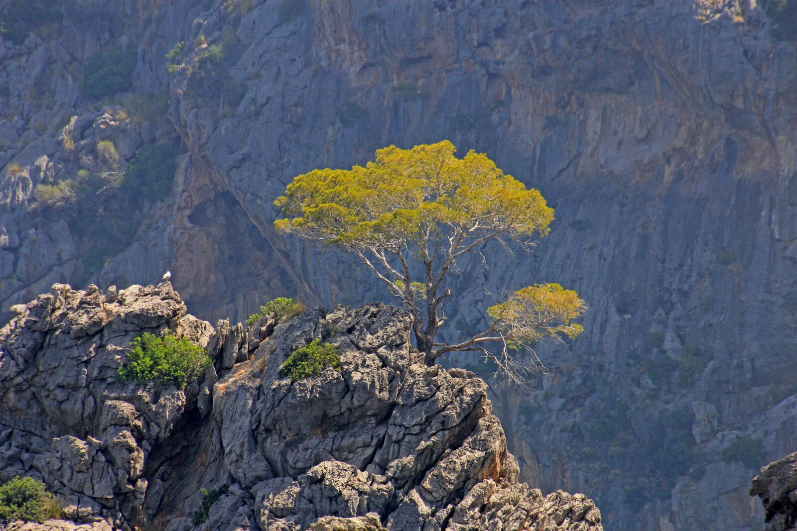 Canon EOS 60D sample photo. Mallorca, rock, mountains photography