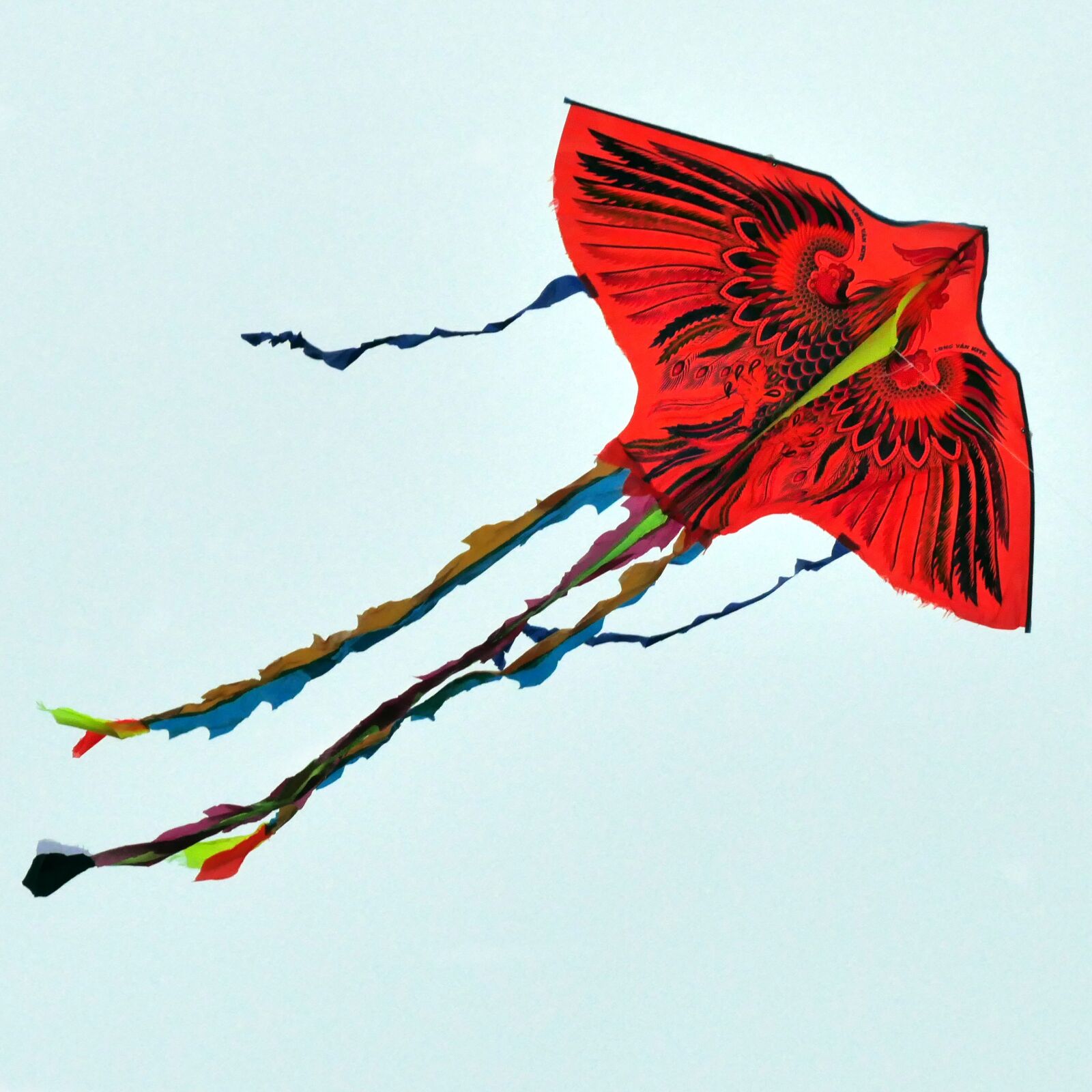 Panasonic Lumix DMC-FZ1000 sample photo. Paper dragon, fly of photography