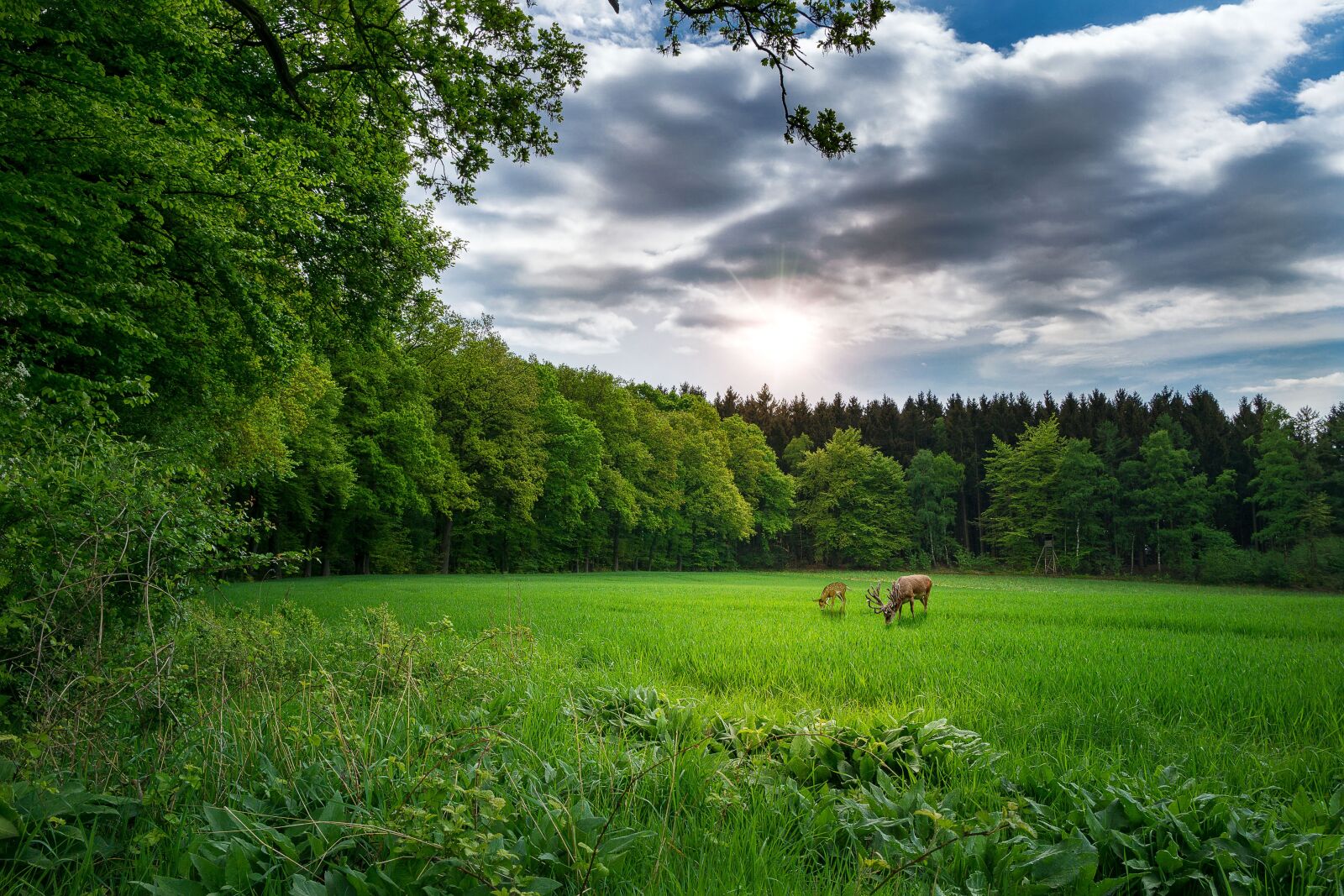 Sony a6000 + Sony Vario-Tessar T* E 16-70mm F4 ZA OSS sample photo. Landscape, nature, landscape nature photography