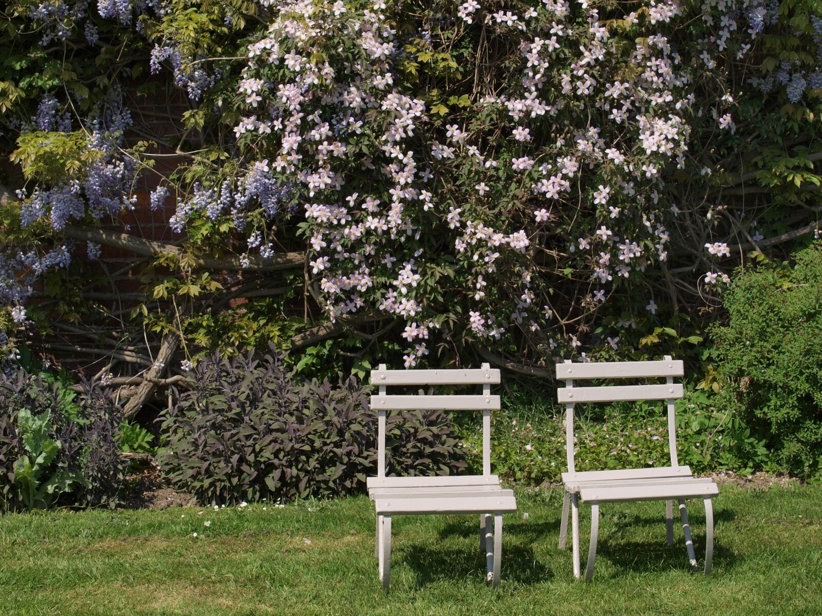 Olympus E-520 (EVOLT E-520) sample photo. Garden, chairs, seat photography