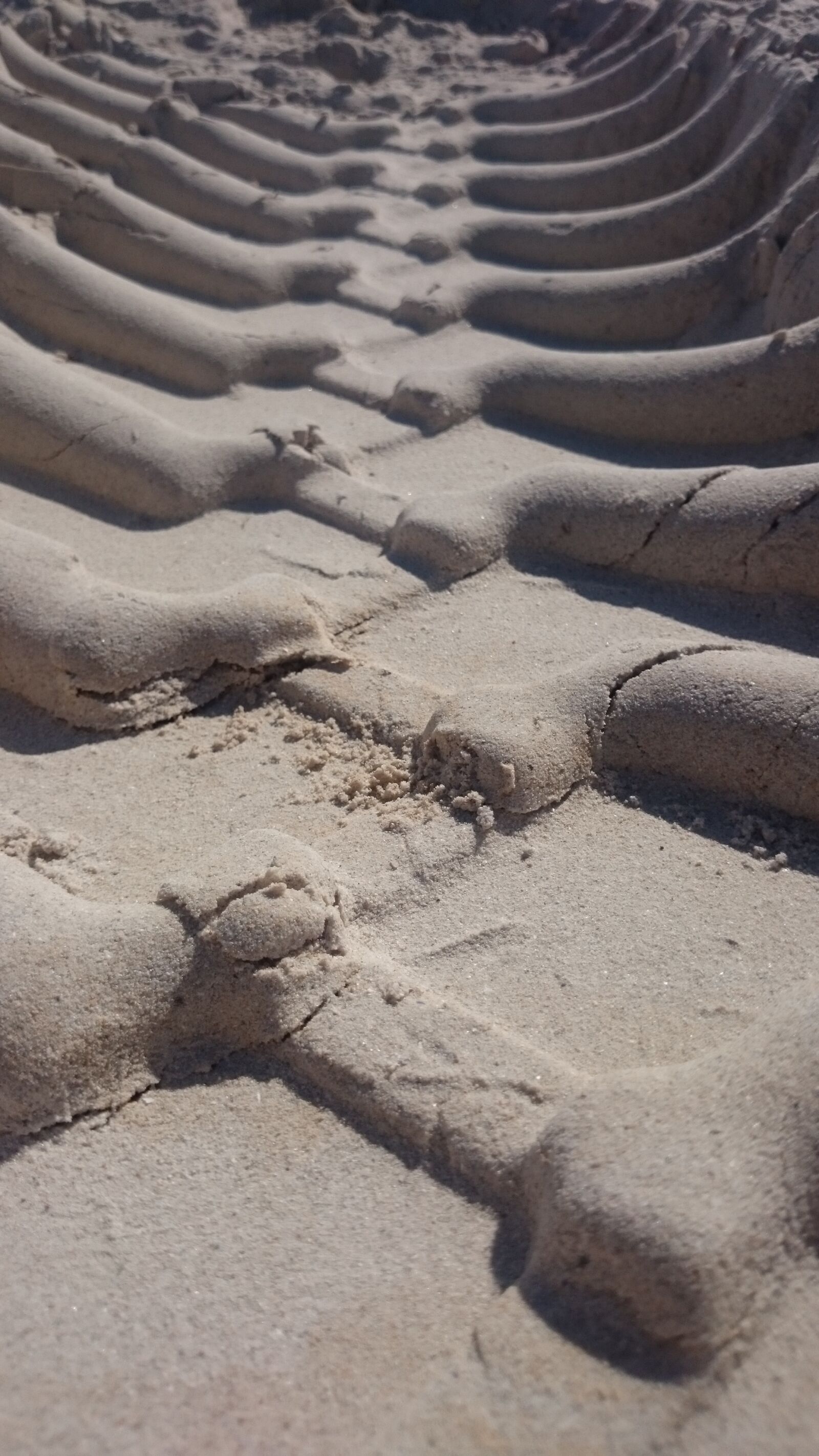 Sony Xperia Z1 Compact sample photo. Beach, sand, tracks photography