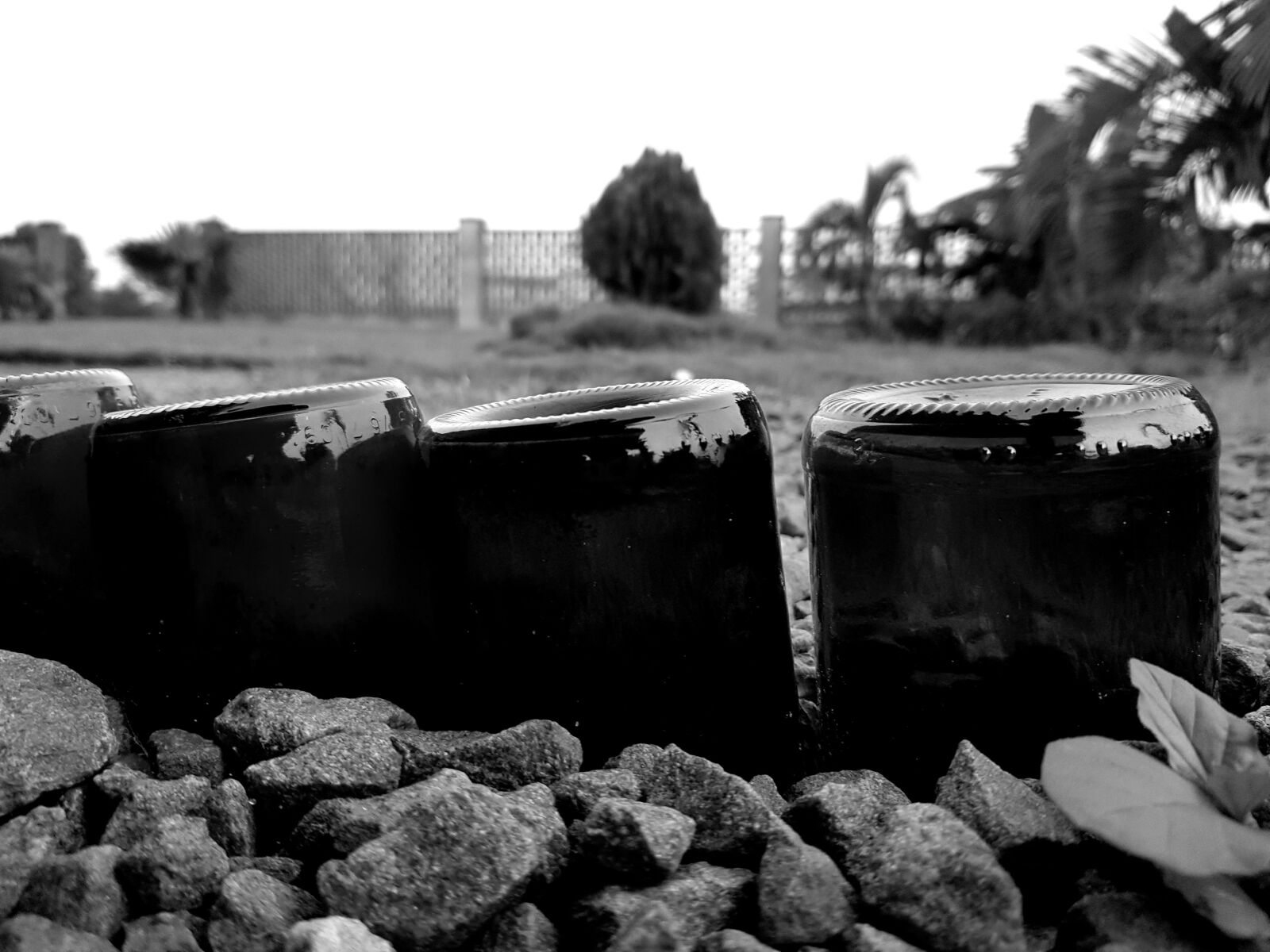 Samsung Galaxy S8 sample photo. Nature, black and white photography
