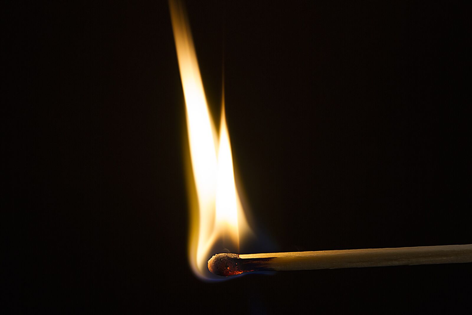 Canon EOS 7D sample photo. Flame, fire, match photography
