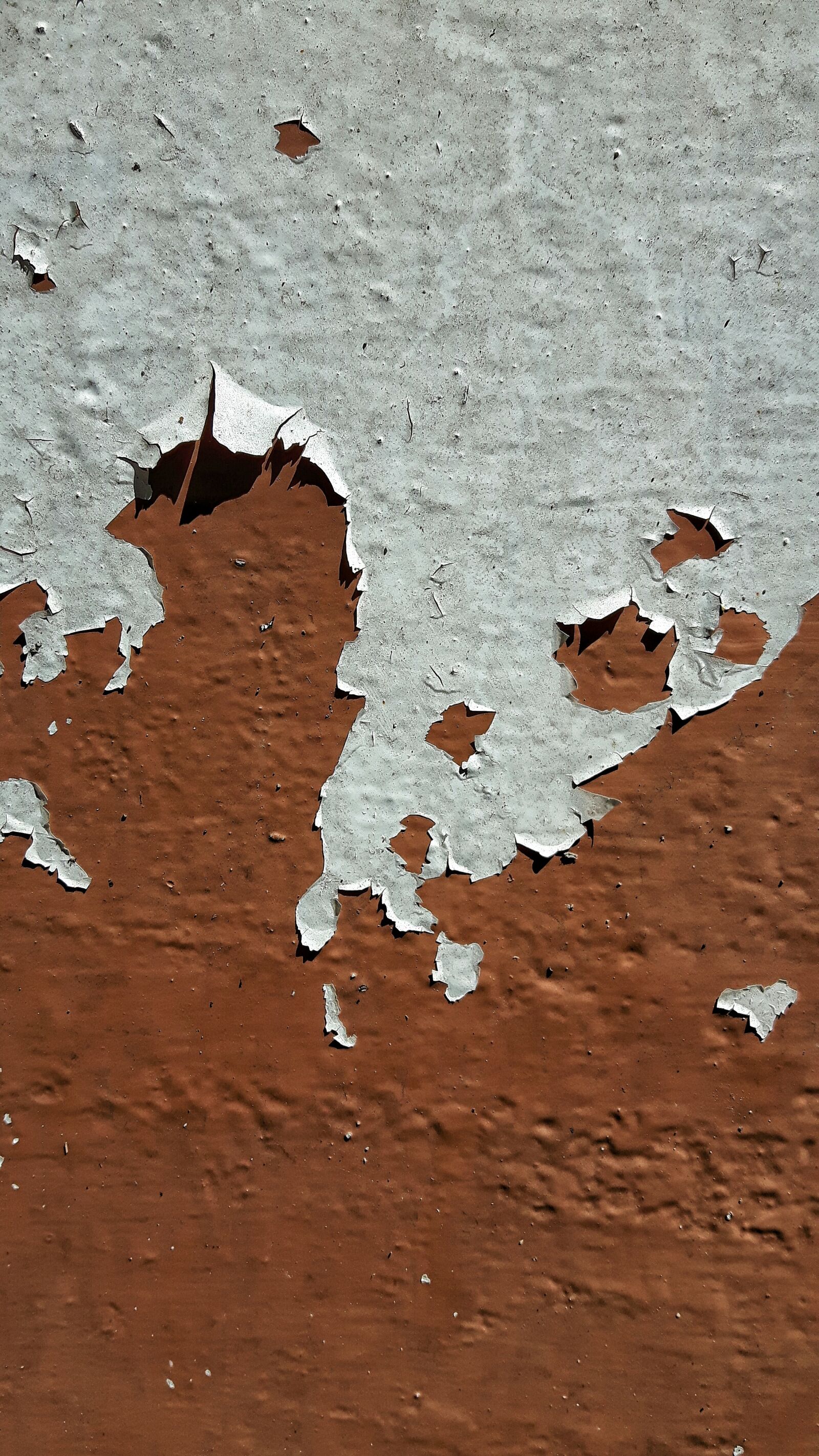 Samsung Galaxy S5 Neo sample photo. Color, rust, ships photography
