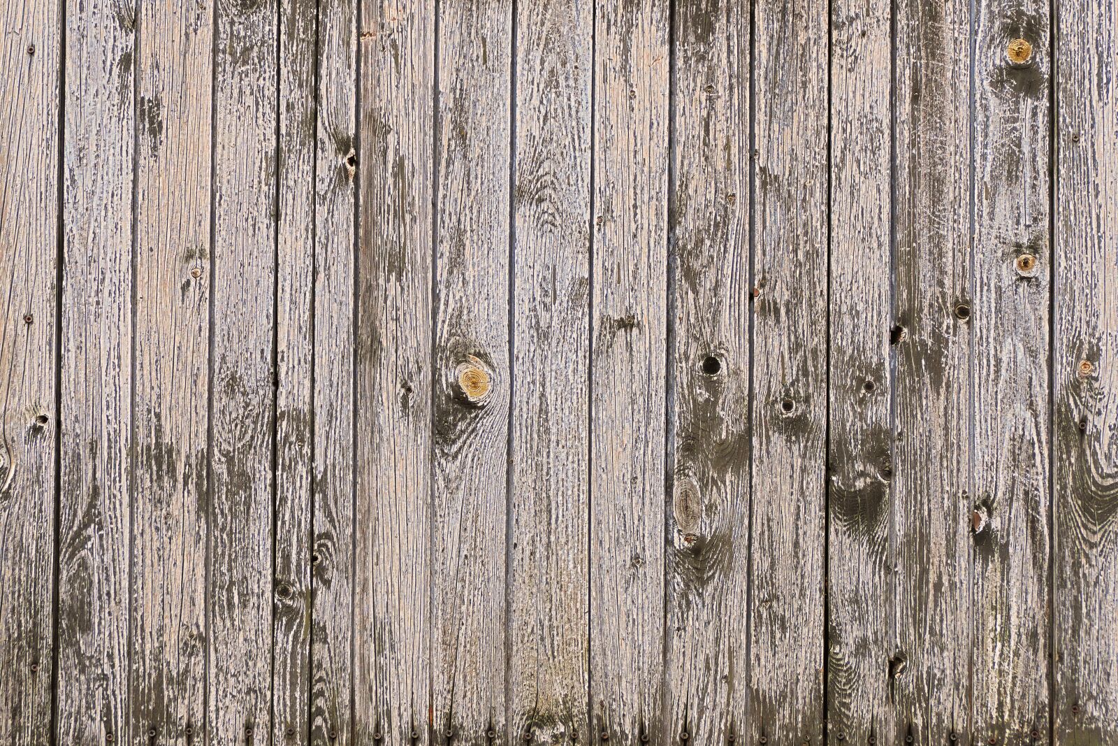 Panasonic Lumix DMC-FZ1000 sample photo. Wood, boards, wooden wall photography