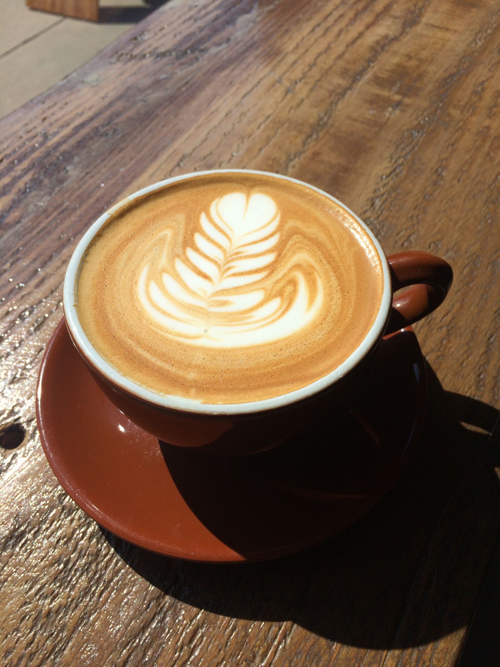 iPhone 5s back camera 4.15mm f/2.2 sample photo. Coffee, latte, can photography